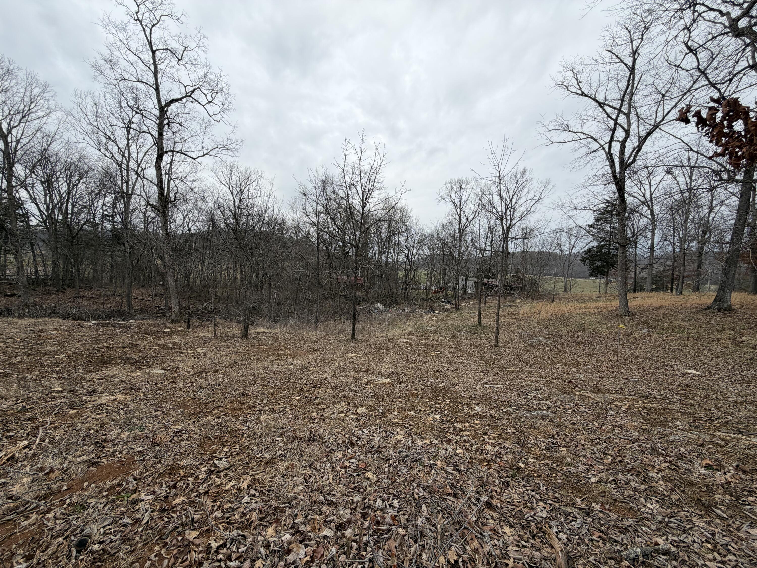 0 Abby Lane Property Photo 2
