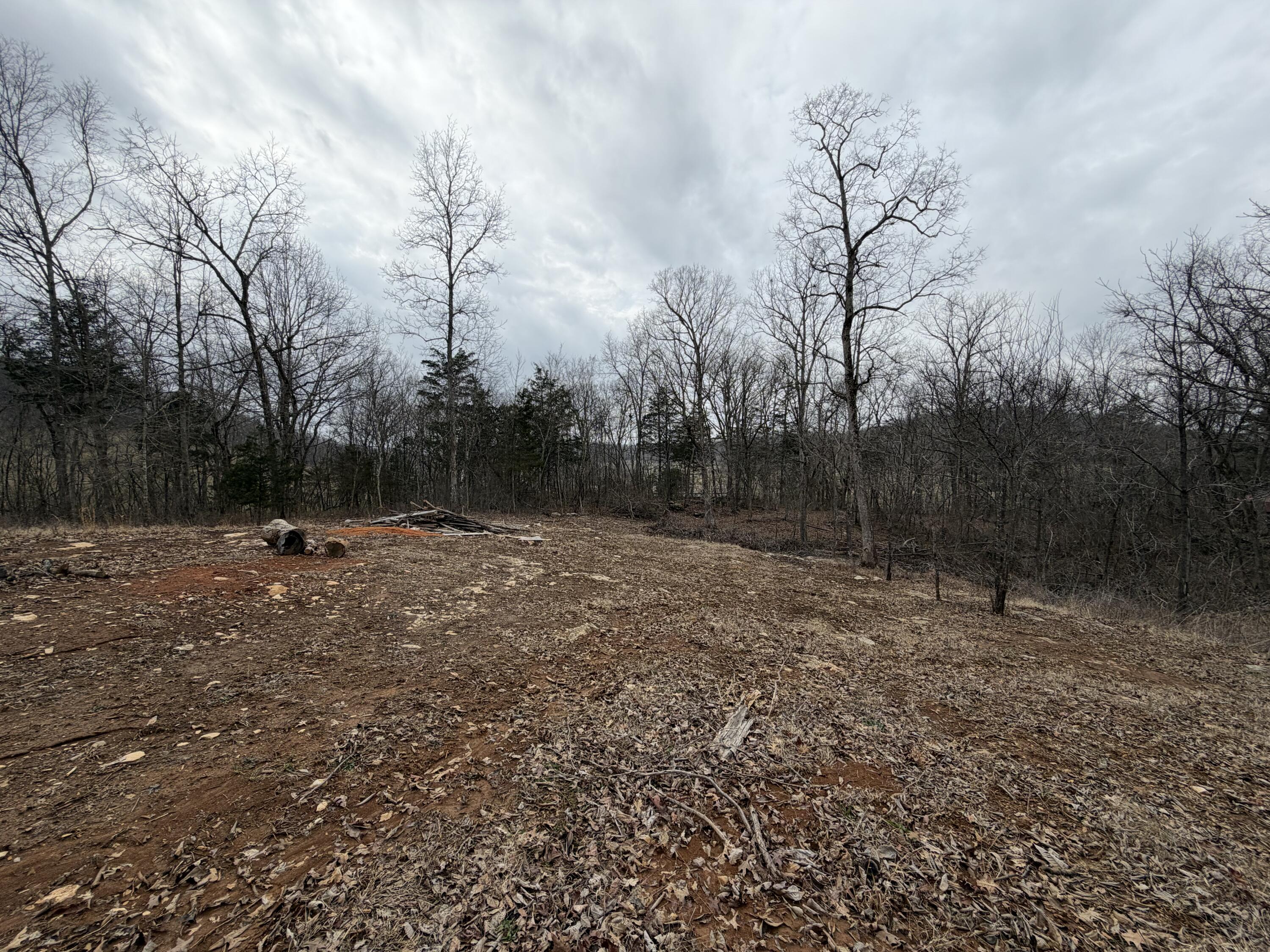 0 Abby Lane Property Photo 3
