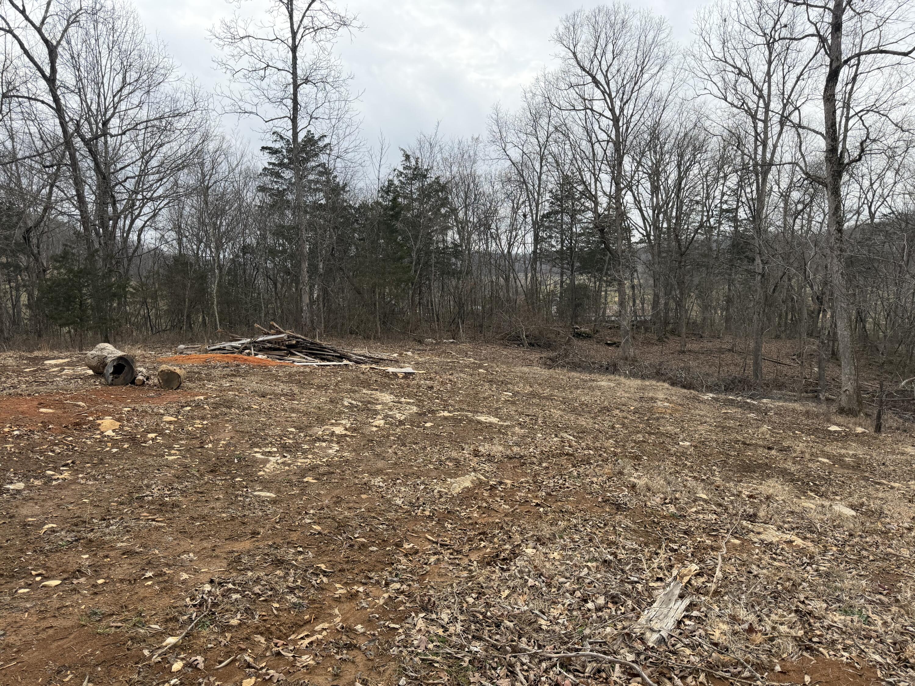 0 Abby Lane Property Photo 4