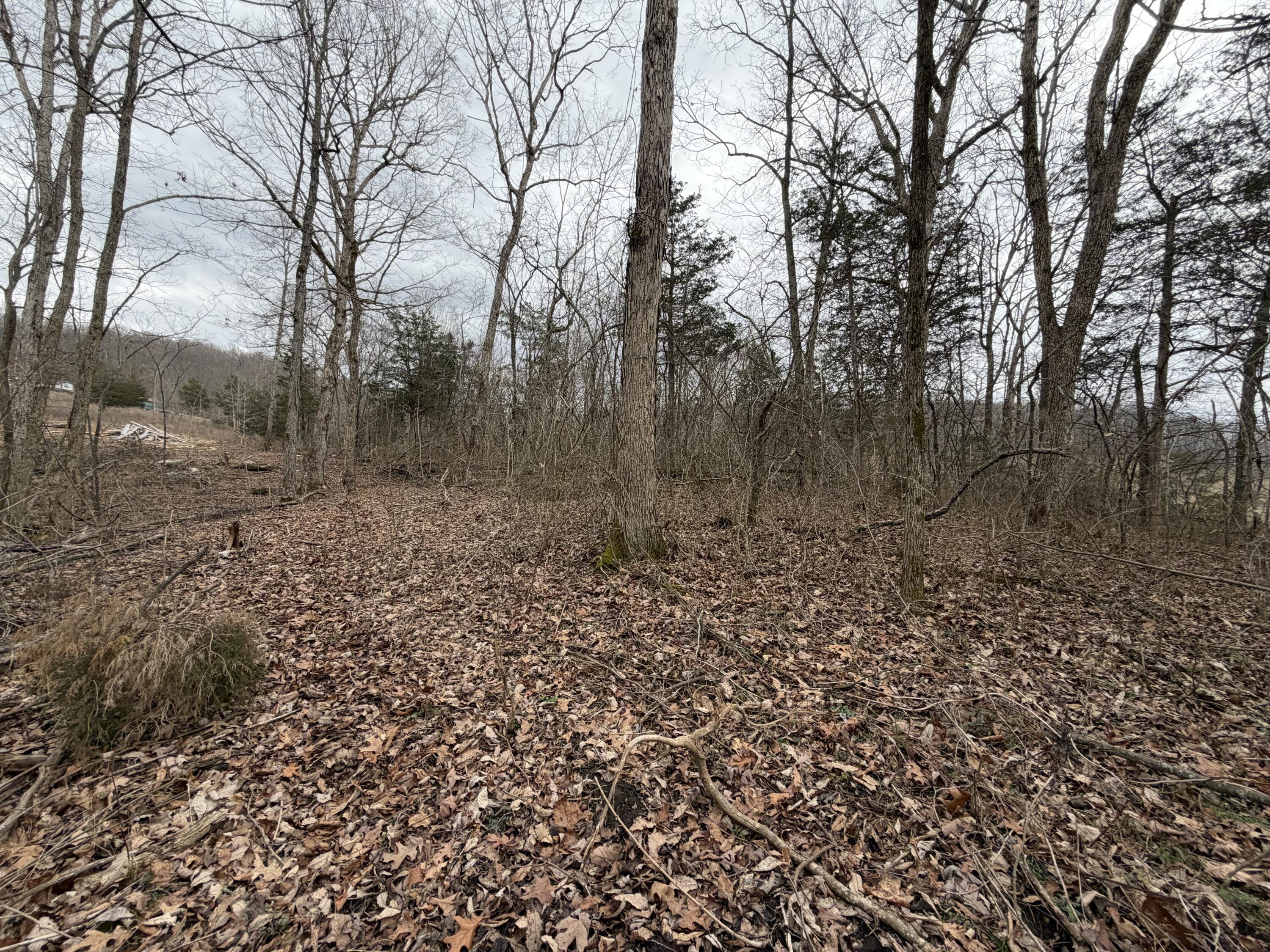 0 Abby Lane Property Photo 6