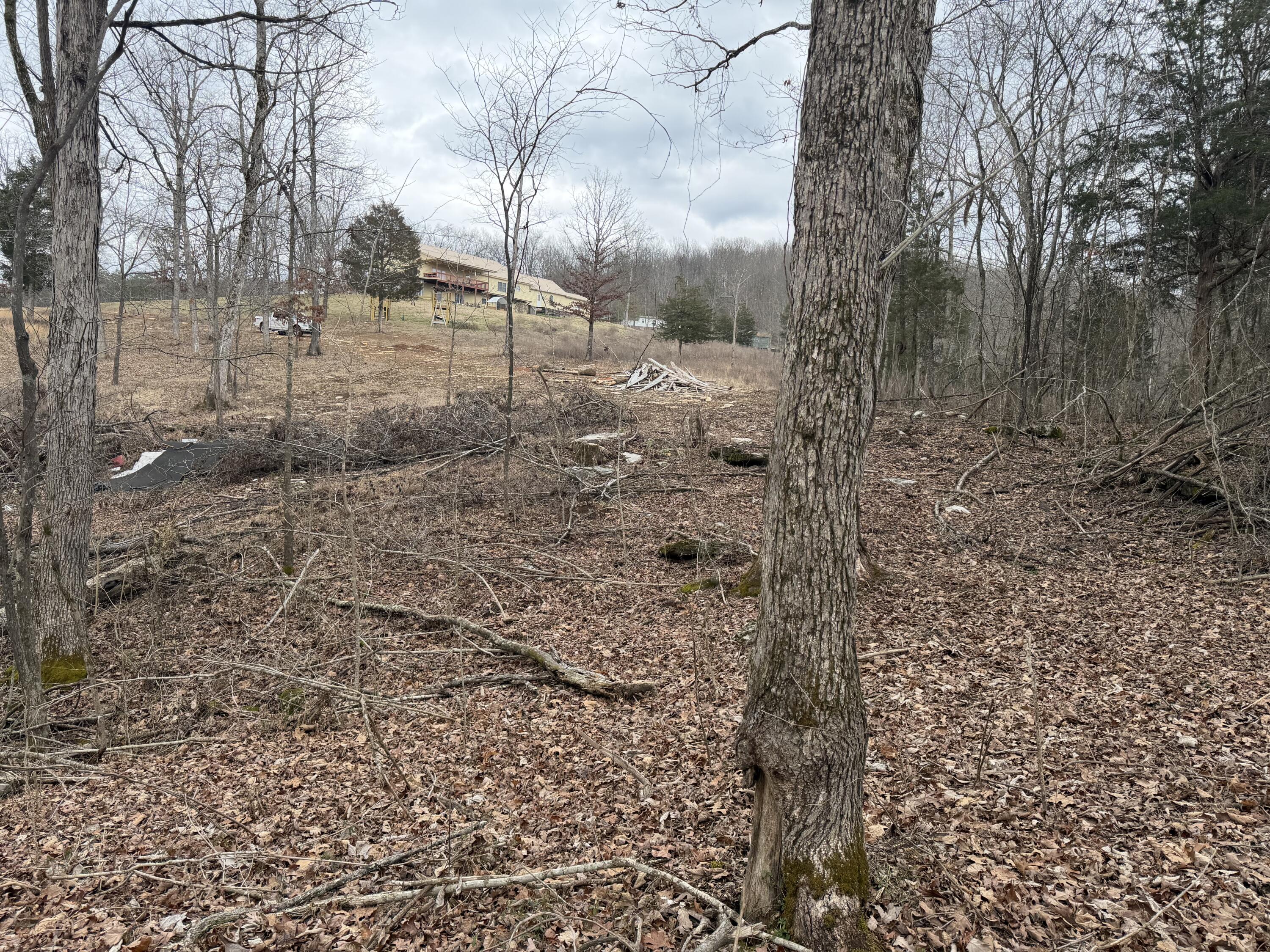 0 Abby Lane Property Photo 8