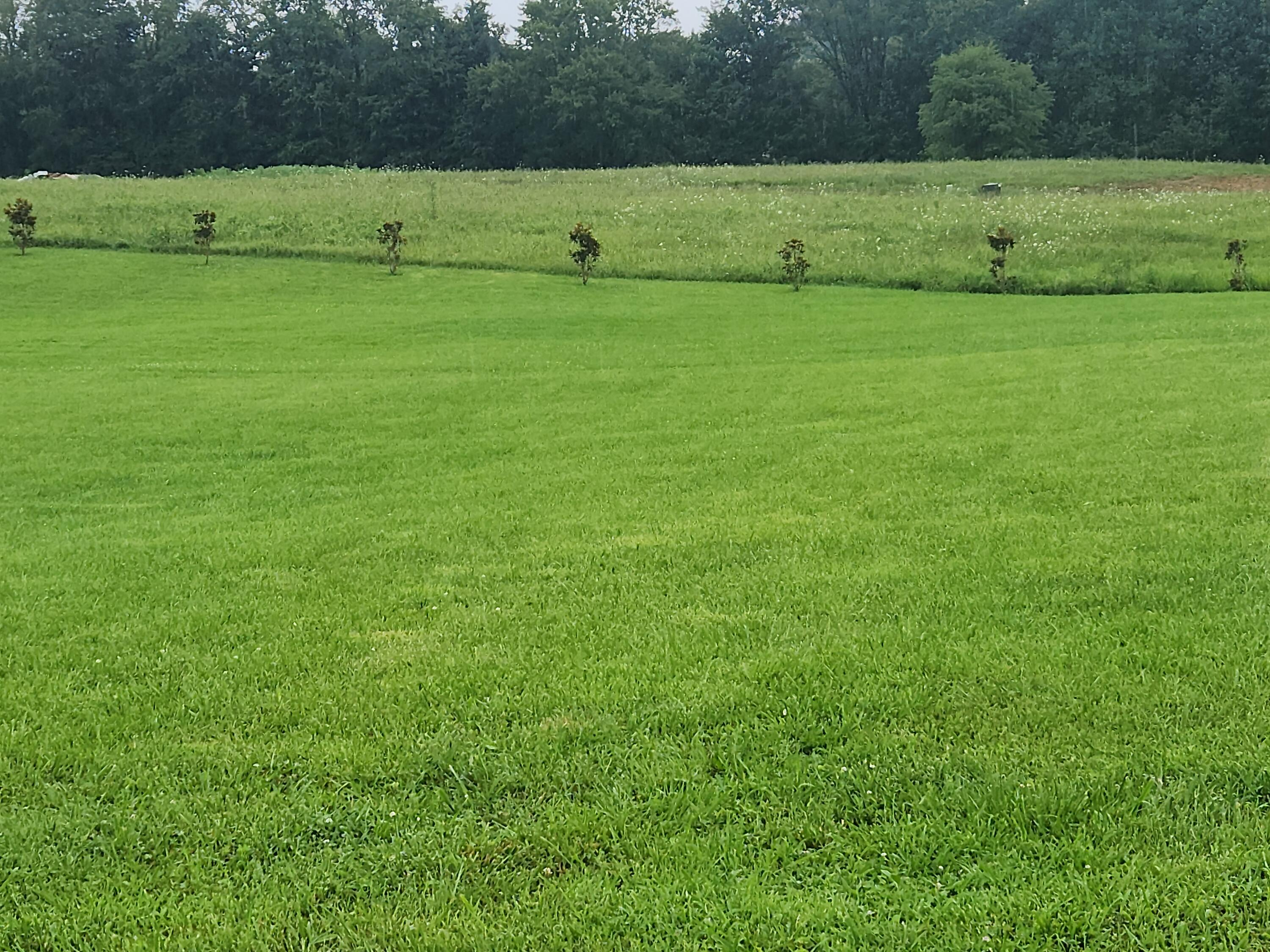 10 River Oaks Circle Property Photo 2