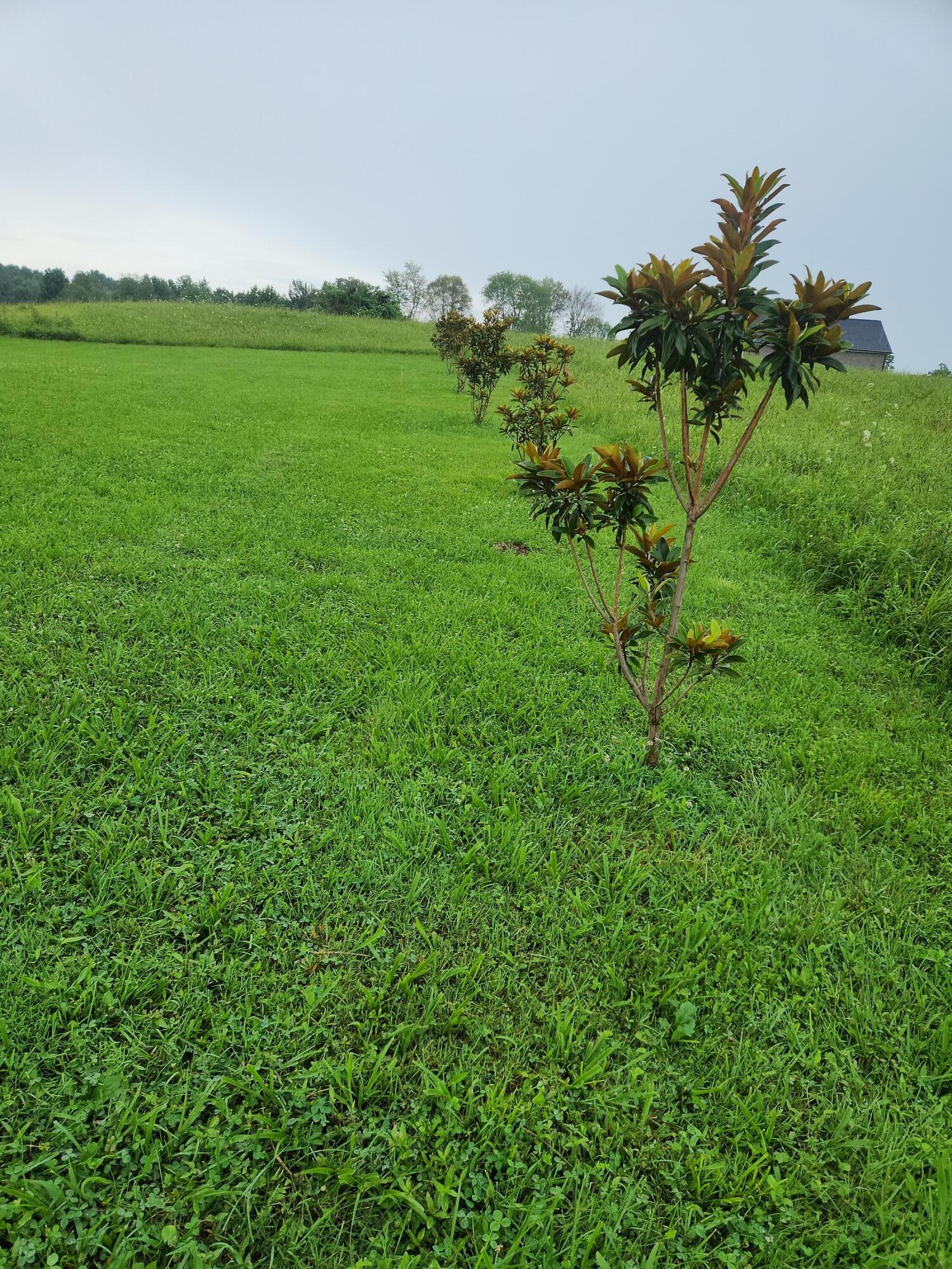 10 River Oaks Circle Property Photo 3