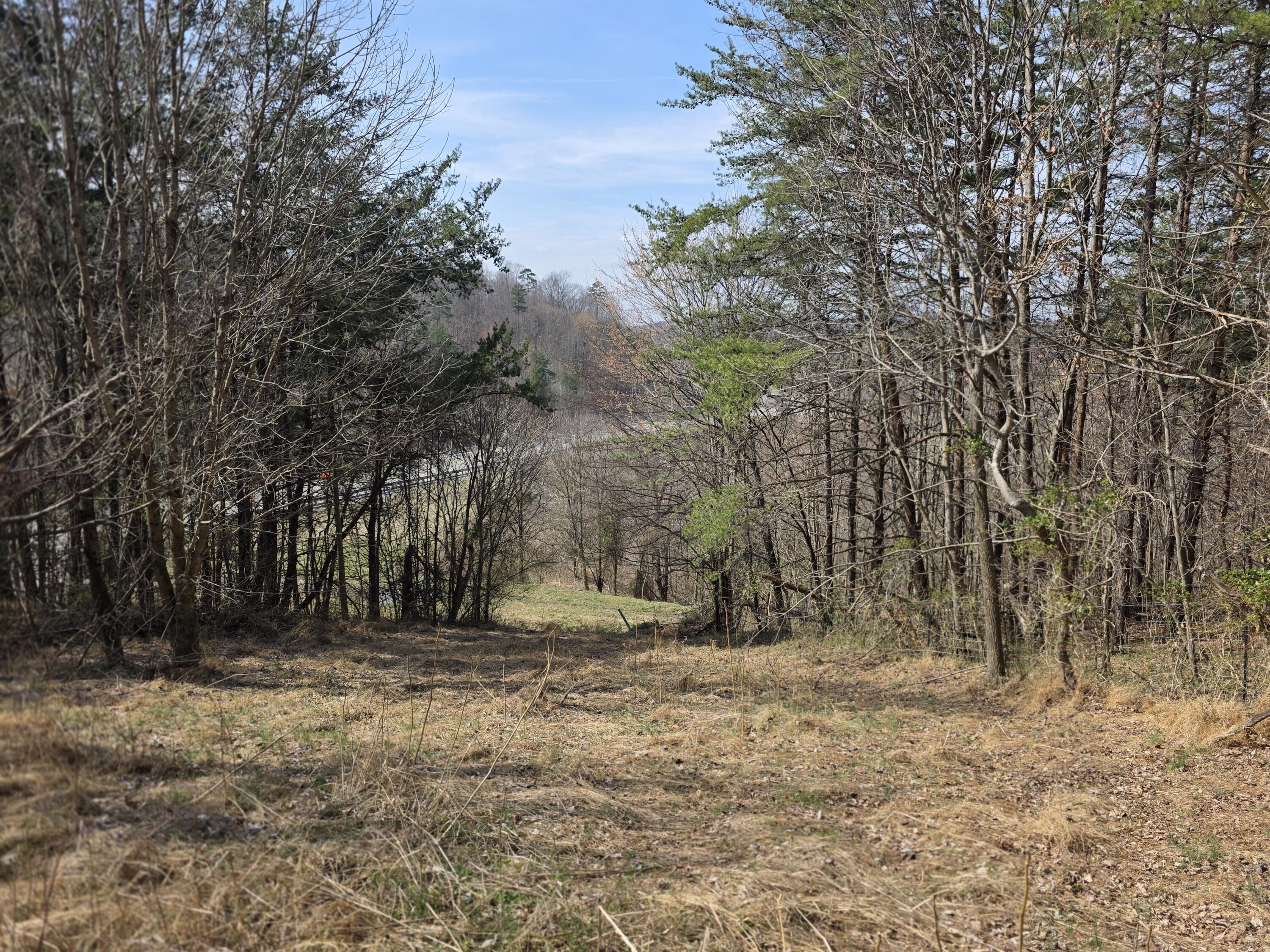 9999 3041 (corbin Bypass) Highway Property Photo 1