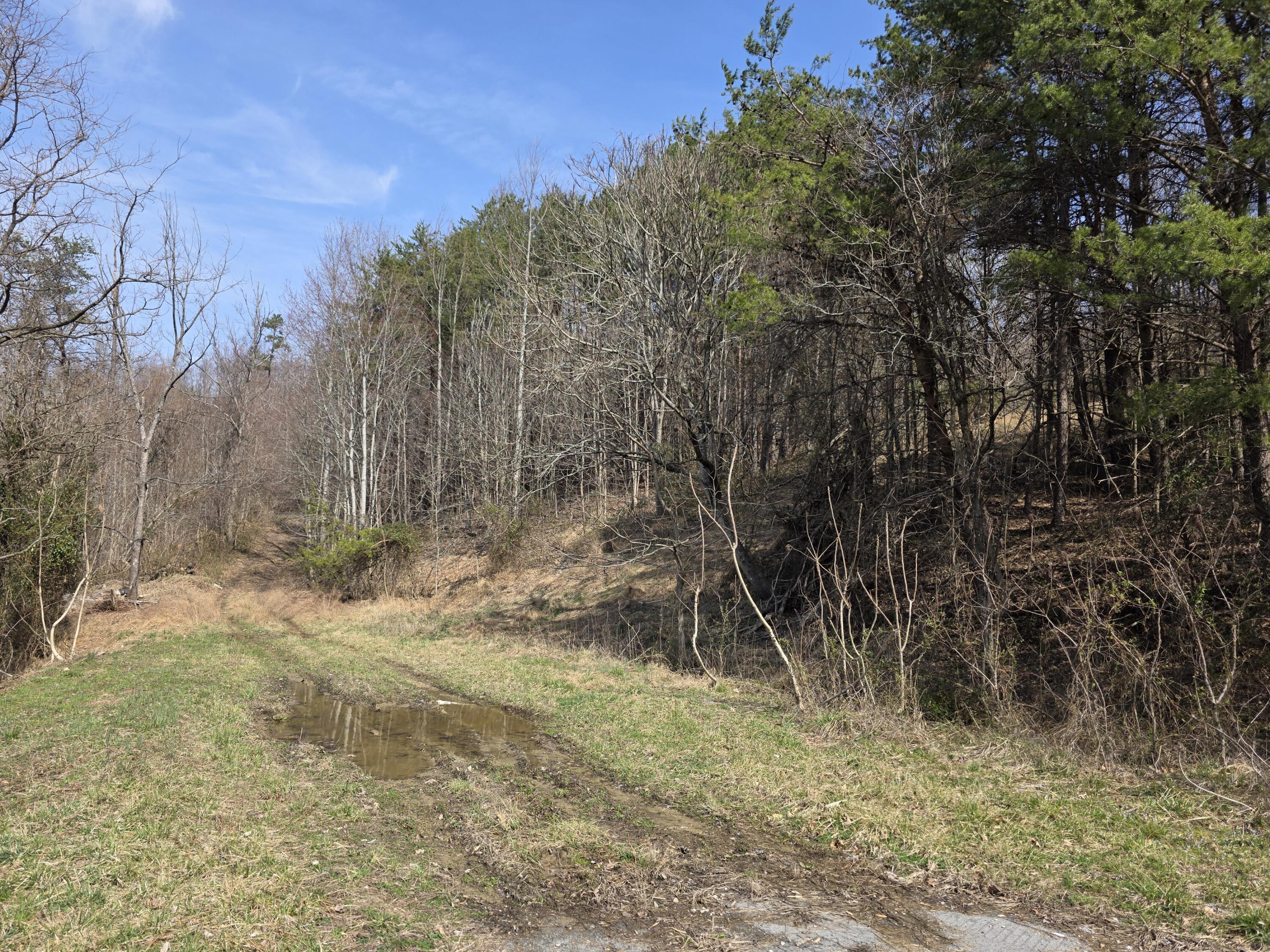9999 3041 (corbin Bypass) Highway Property Photo 2
