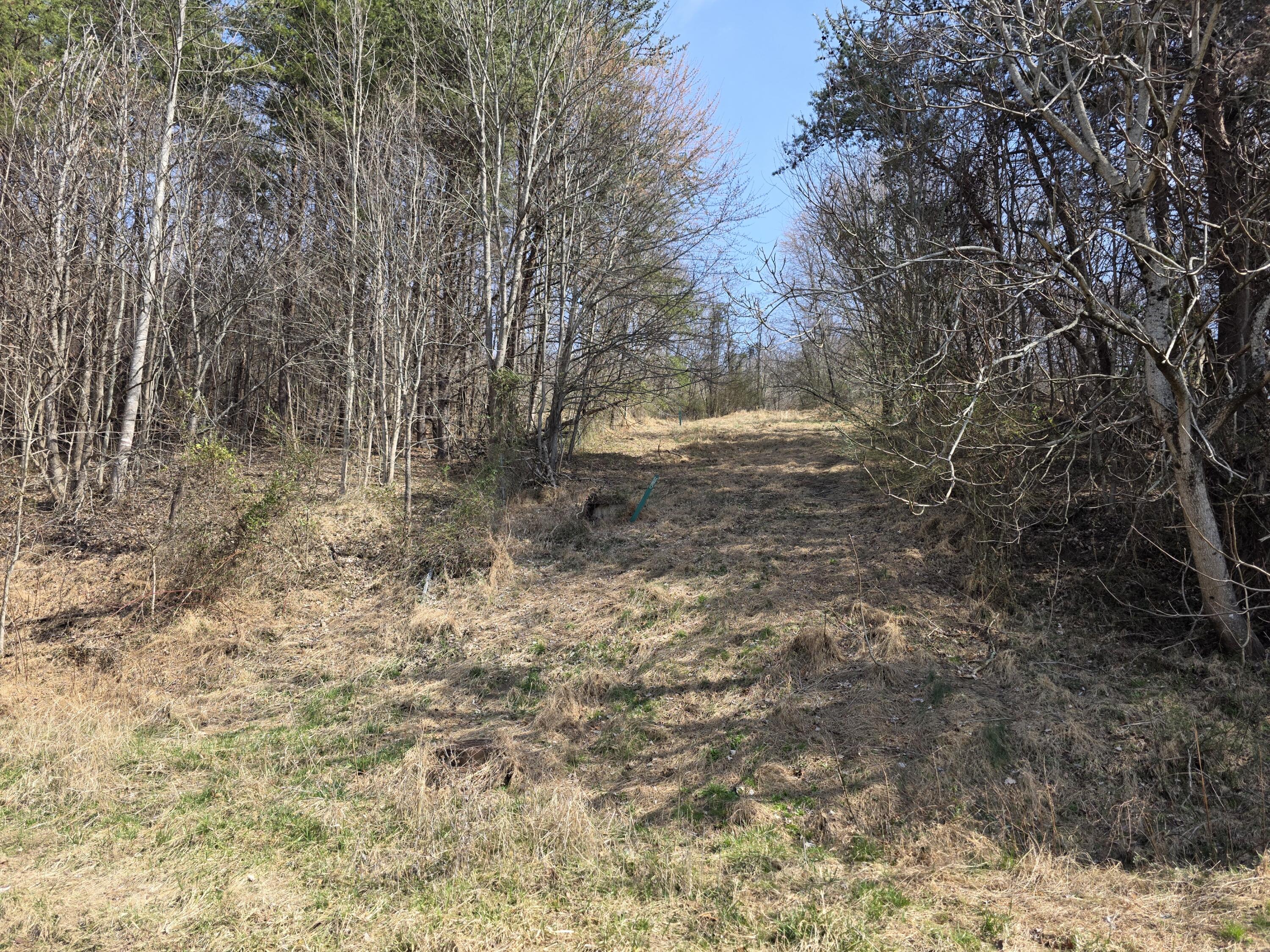 9999 3041 (corbin Bypass) Highway Property Photo 3
