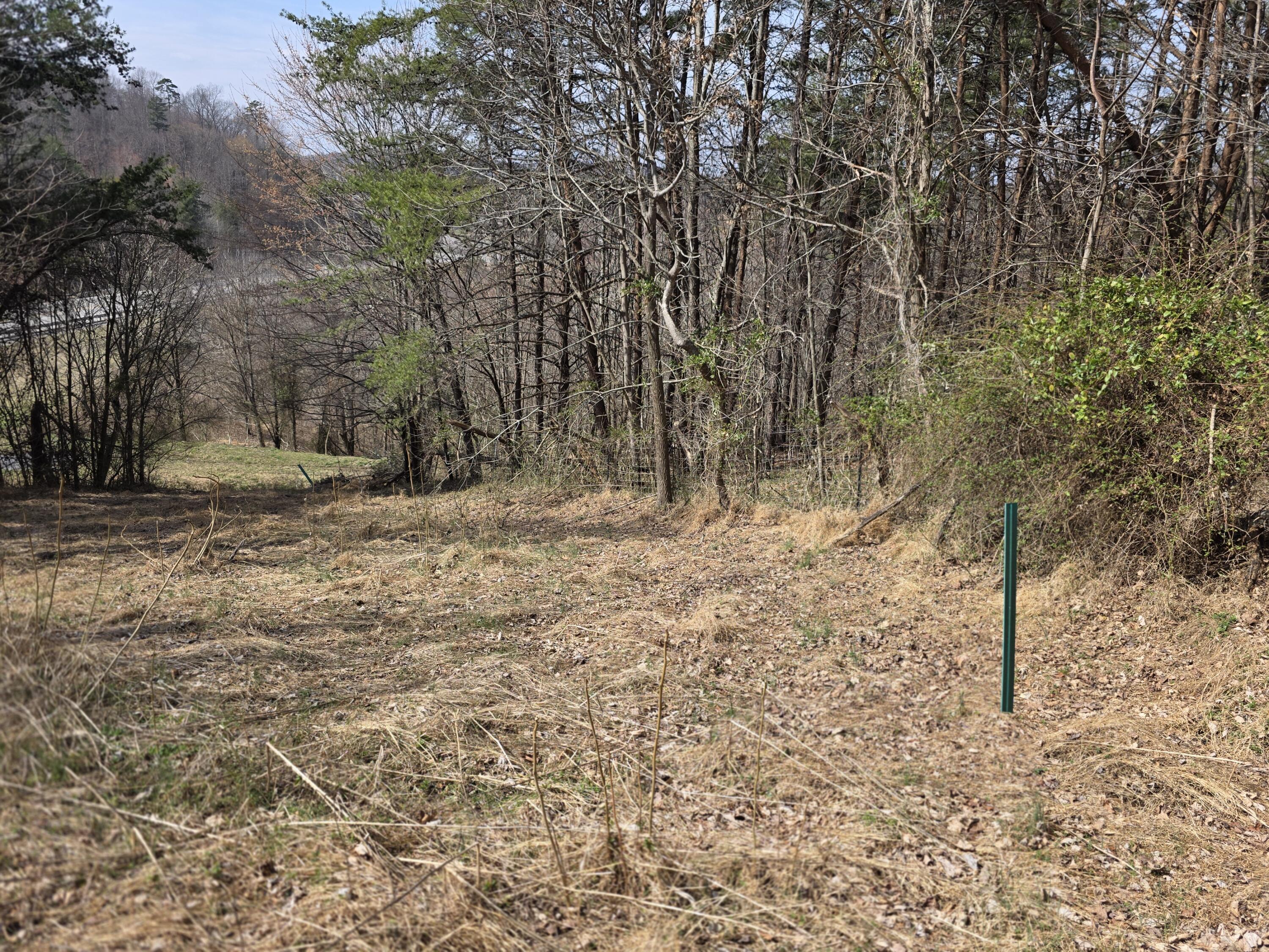 9999 3041 (corbin Bypass) Highway Property Photo 4