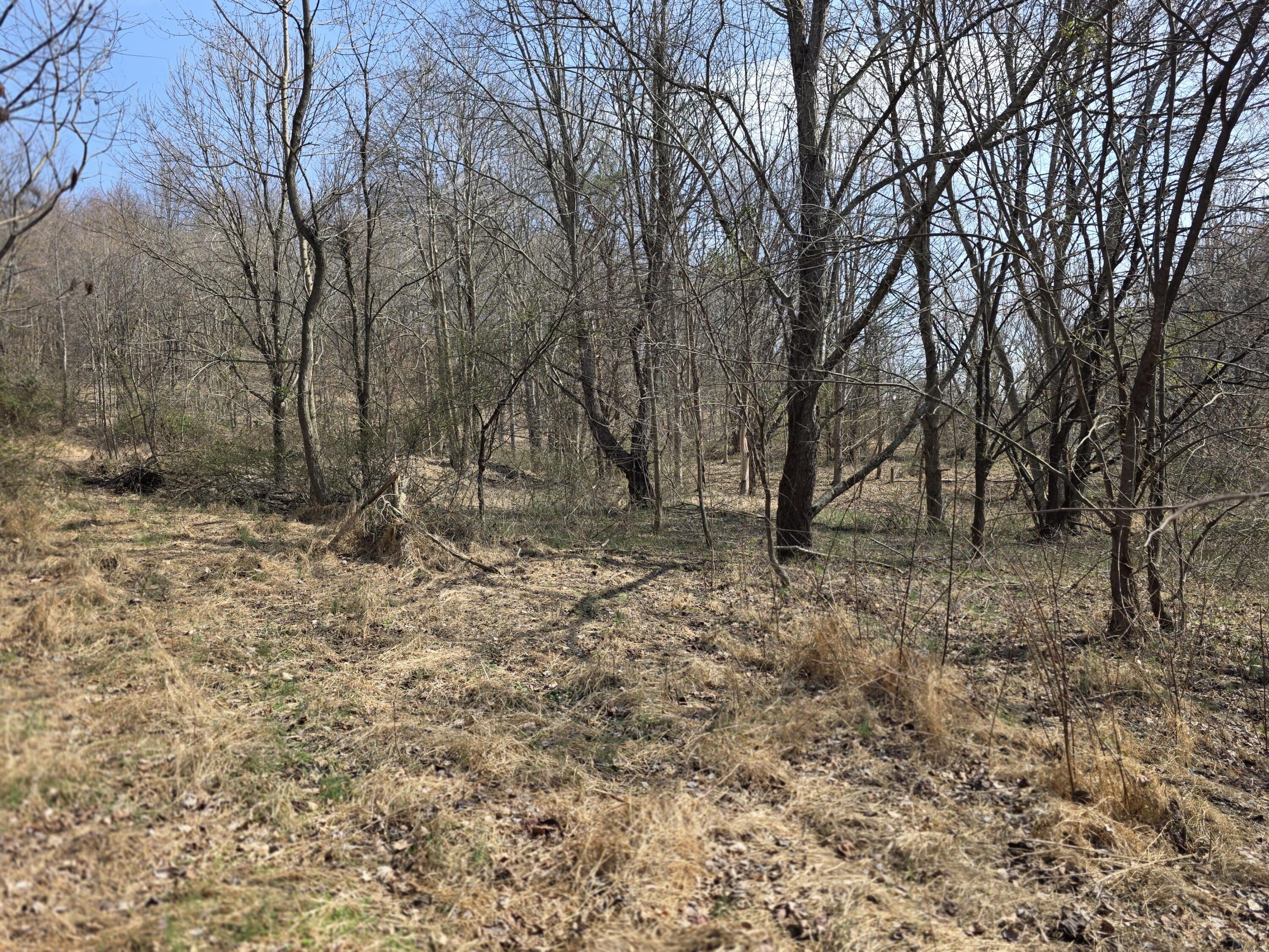 9999 3041 (corbin Bypass) Highway Property Photo 5
