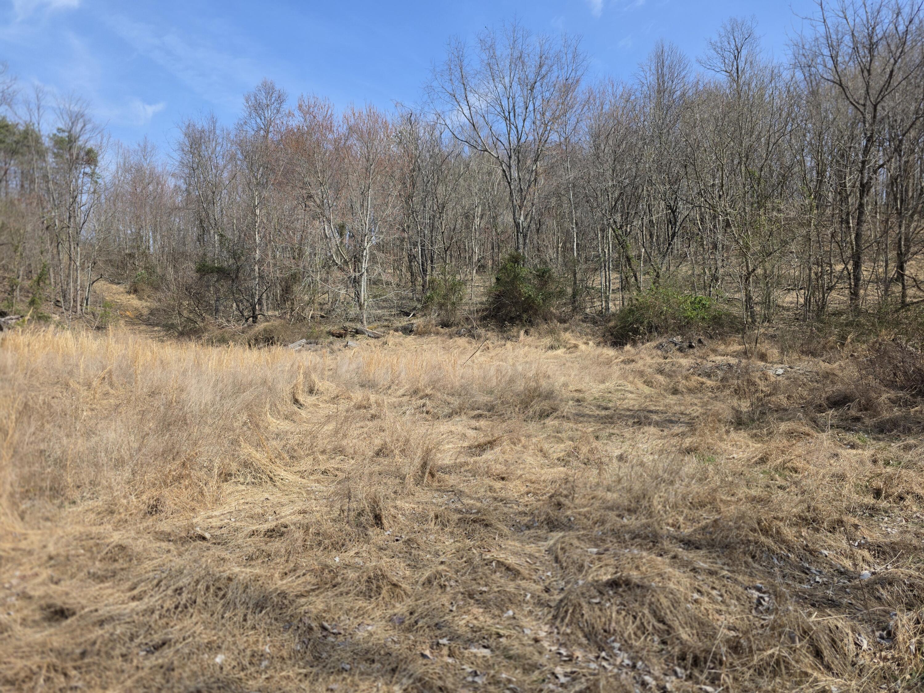 9999 3041 (corbin Bypass) Highway Property Photo 6