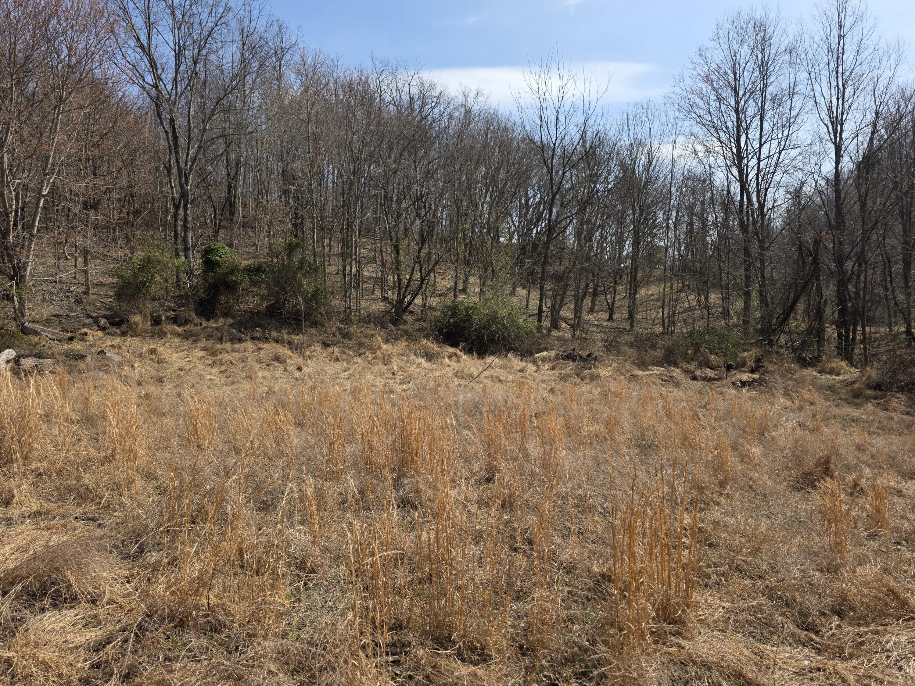 9999 3041 (corbin Bypass) Highway Property Photo 8