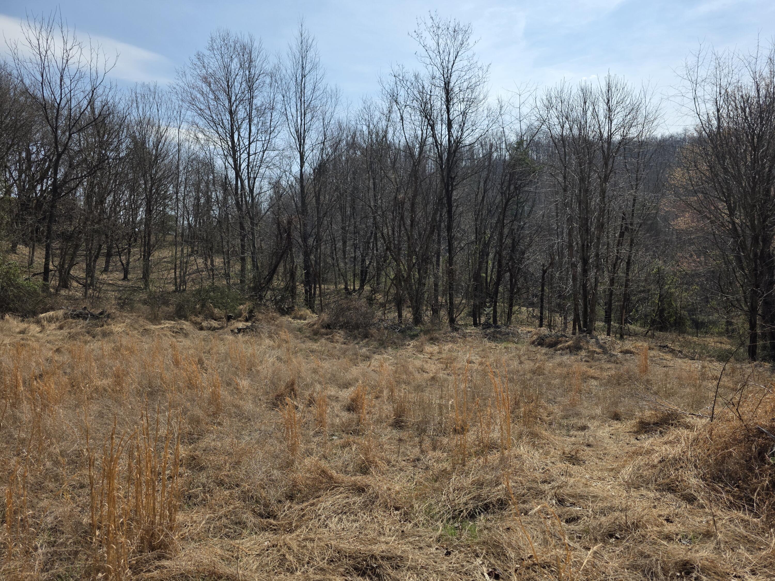 9999 3041 (corbin Bypass) Highway Property Photo 9