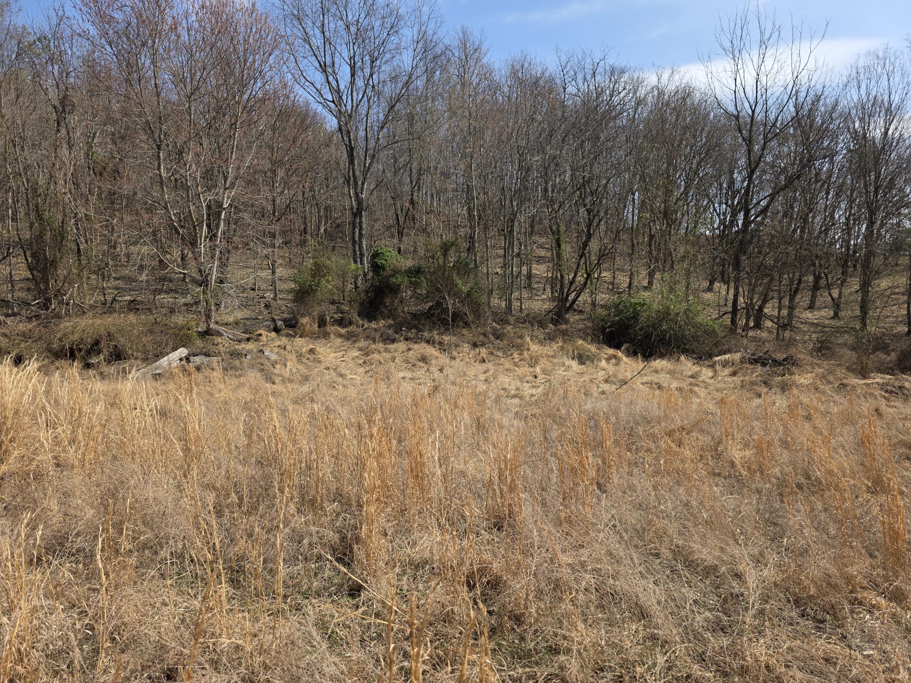 9999 3041 (corbin Bypass) Highway Property Photo 10