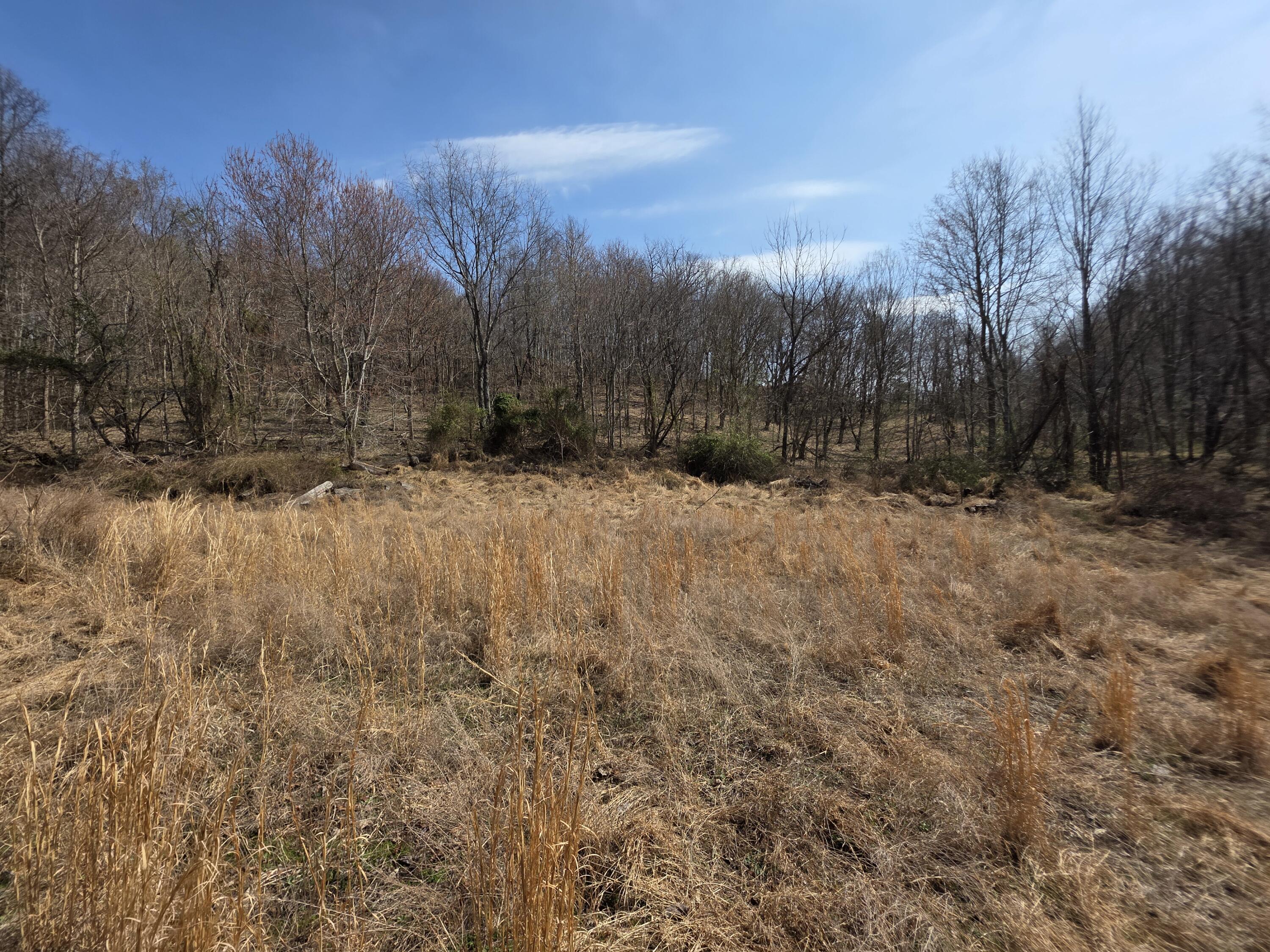 9999 3041 (corbin Bypass) Highway Property Photo 11