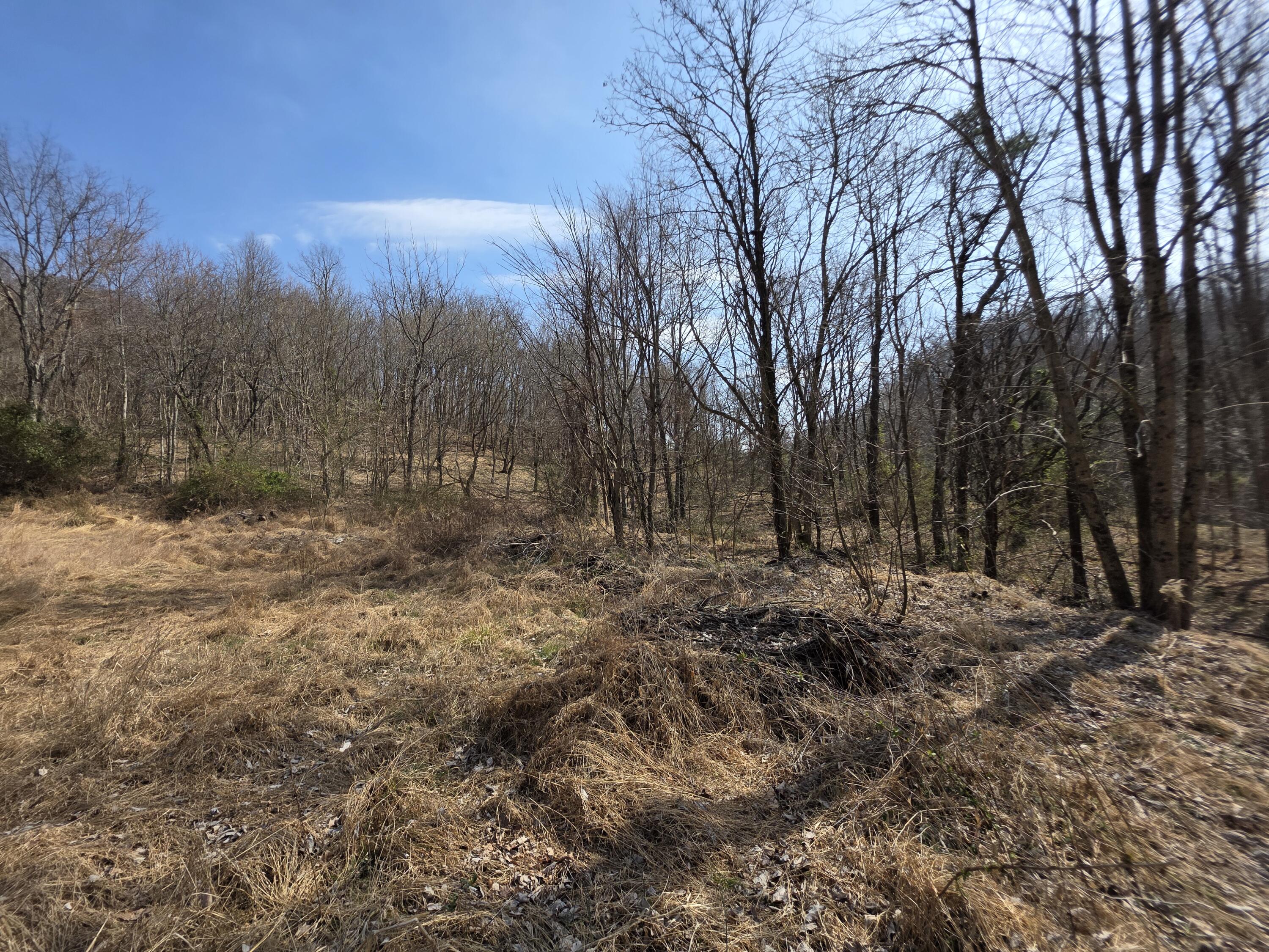 9999 3041 (corbin Bypass) Highway Property Photo 12