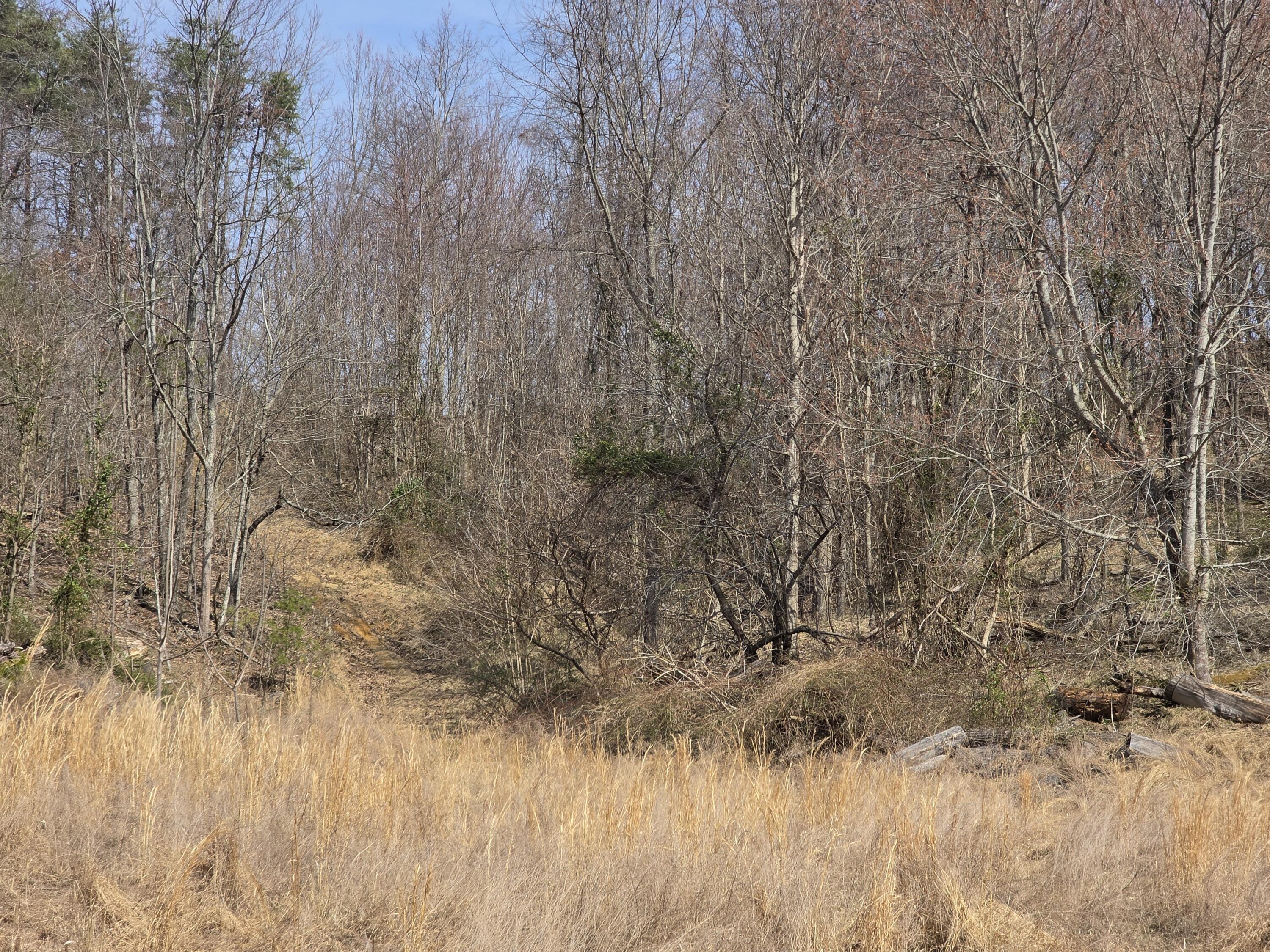 9999 3041 (corbin Bypass) Highway Property Photo 13