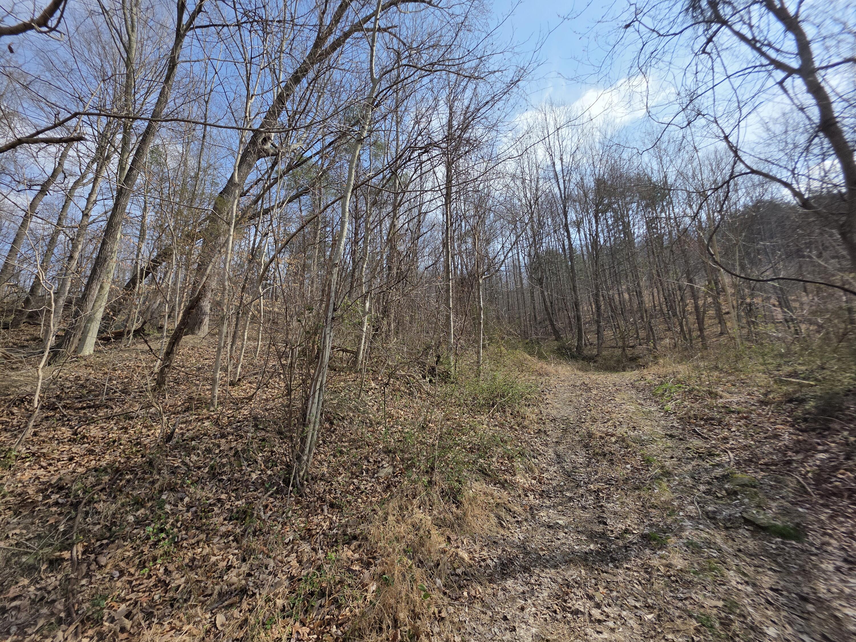 9999 3041 (corbin Bypass) Highway Property Photo 15