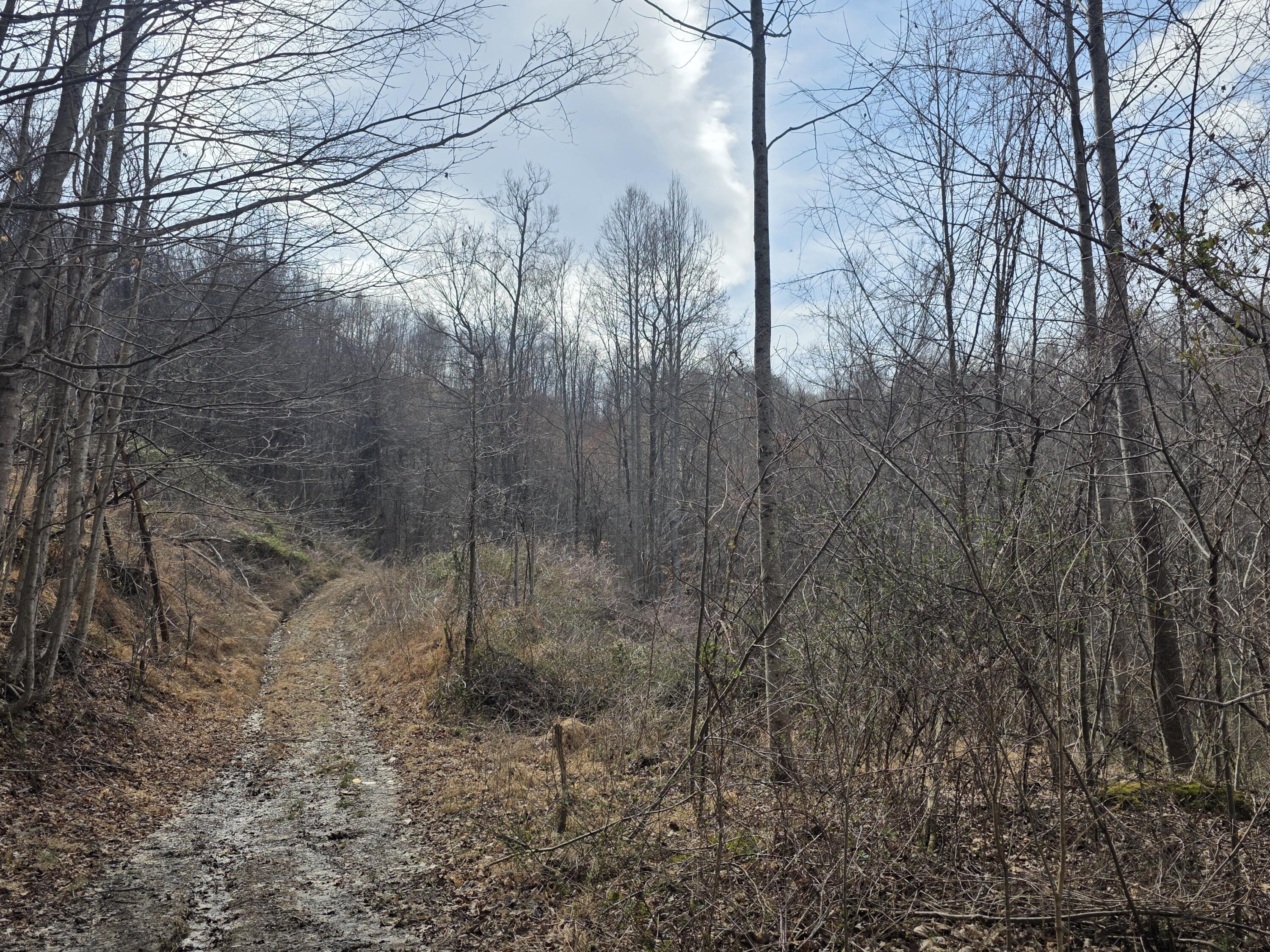 9999 3041 (corbin Bypass) Highway Property Photo 16