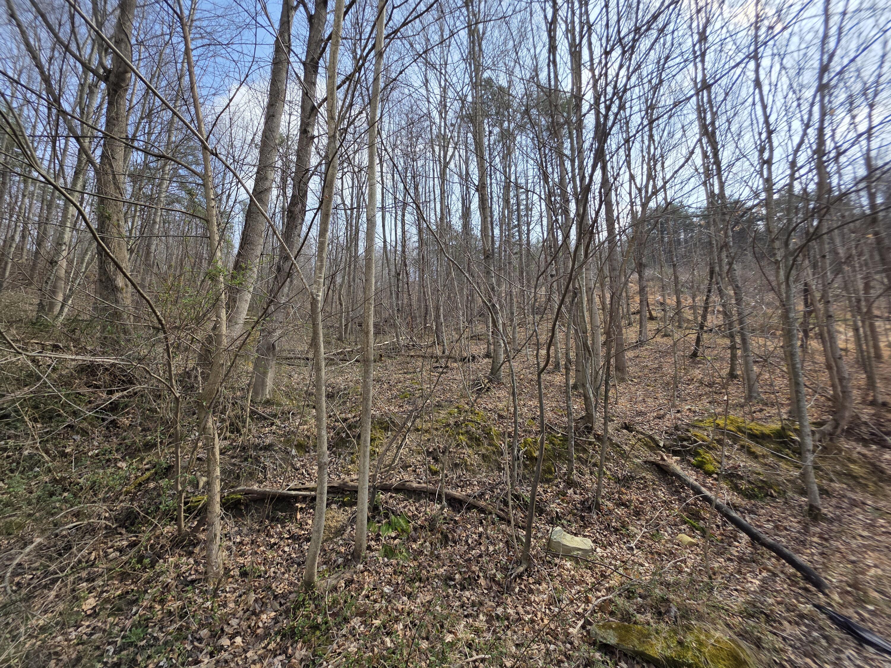 9999 3041 (corbin Bypass) Highway Property Photo 17
