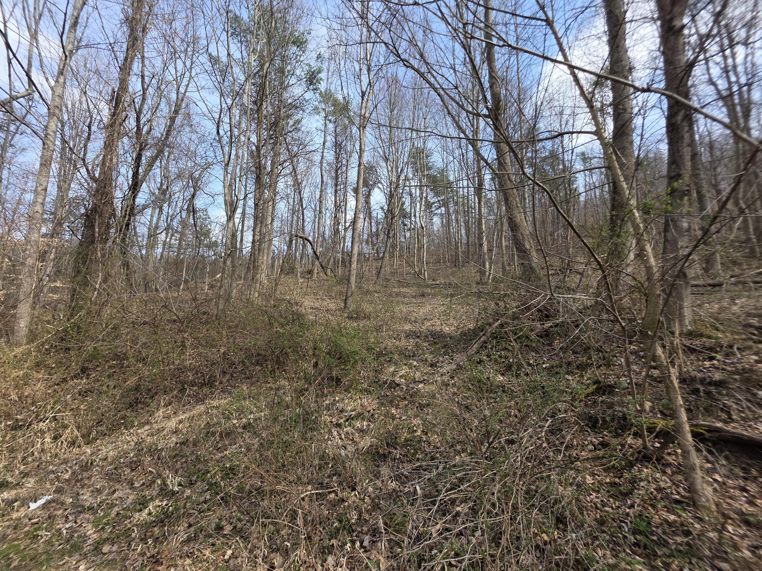9999 3041 (corbin Bypass) Highway Property Photo 18