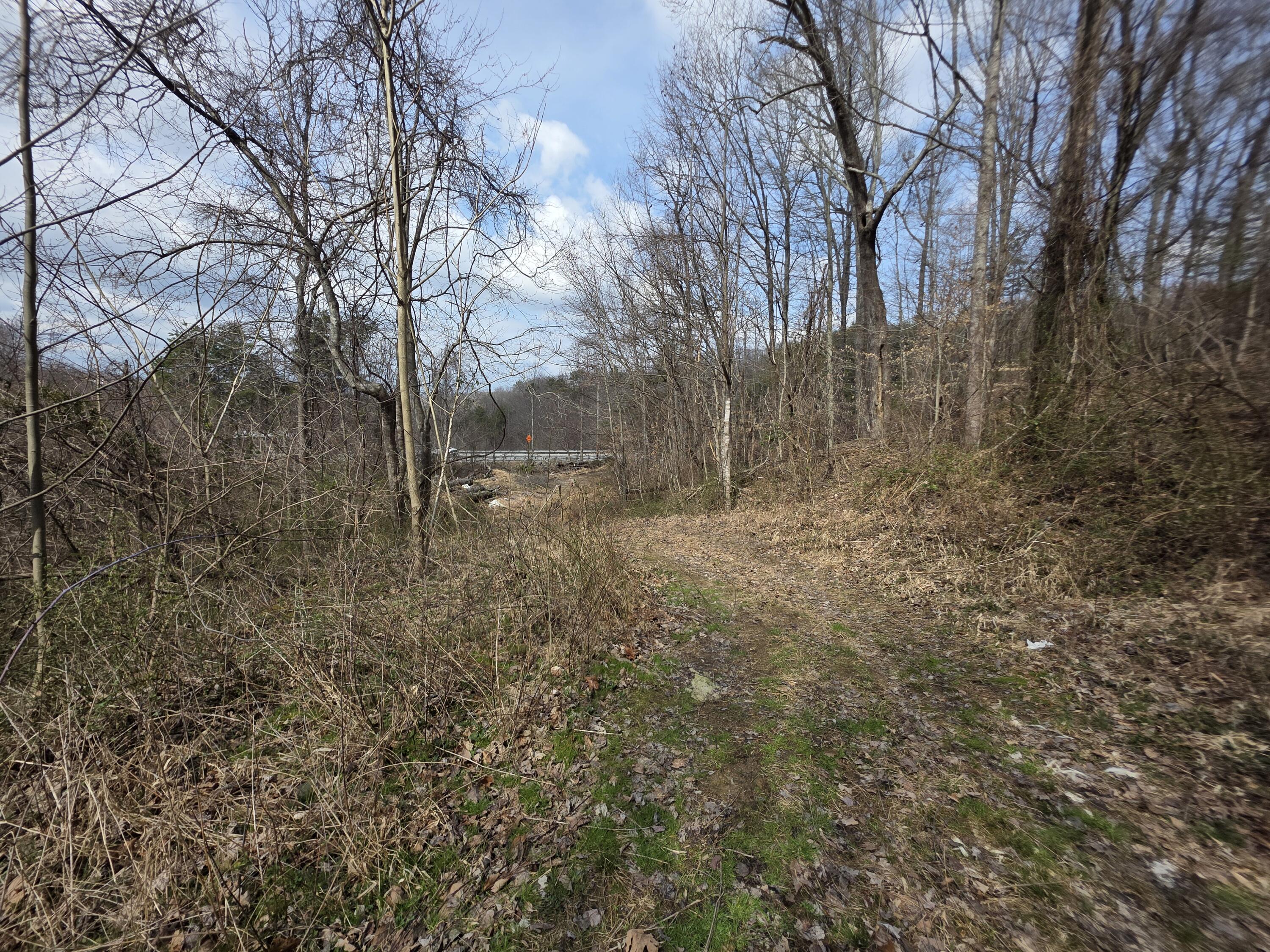 9999 3041 (corbin Bypass) Highway Property Photo 19