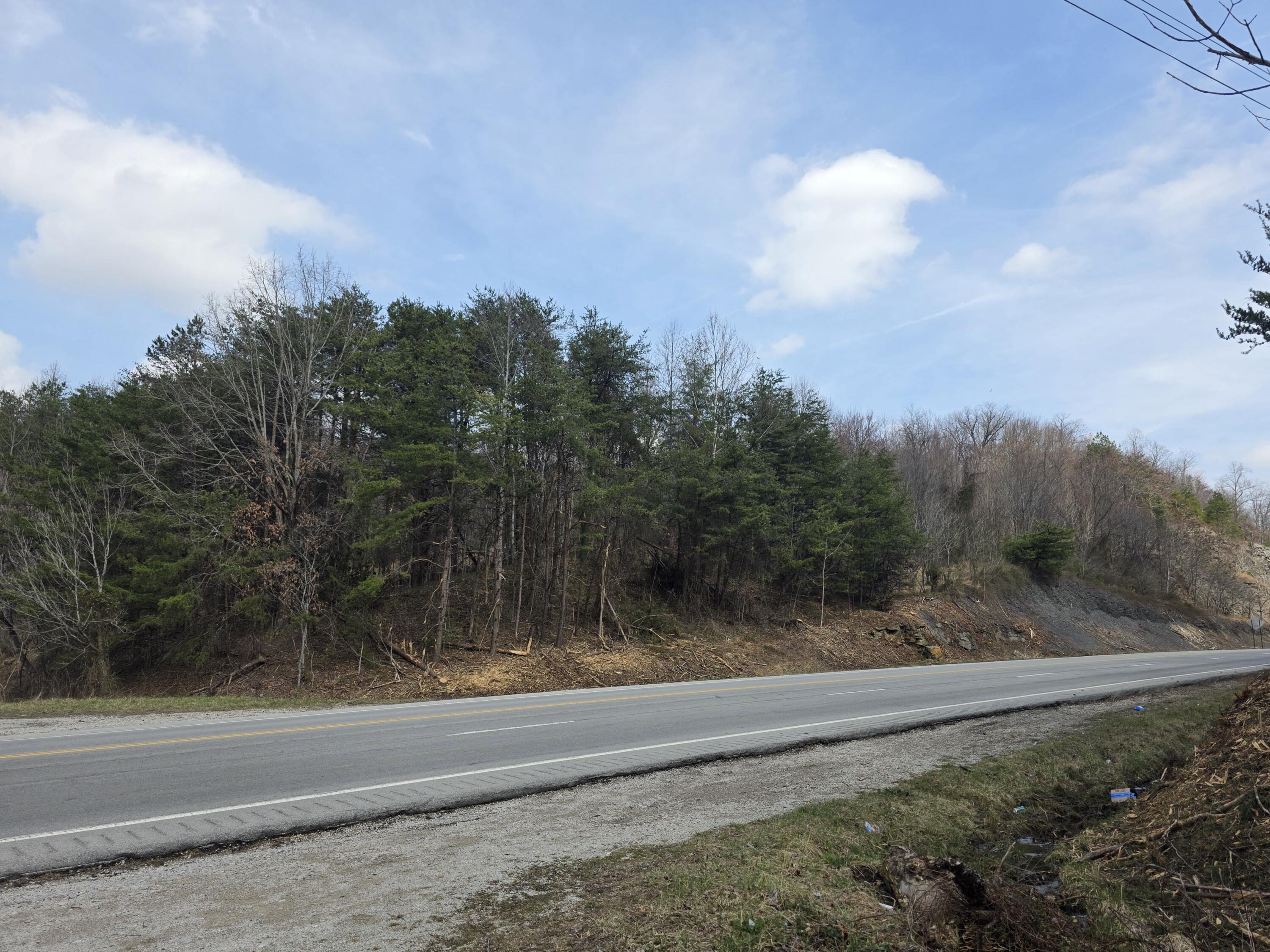 9999 3041 (corbin Bypass) Highway Property Photo 20