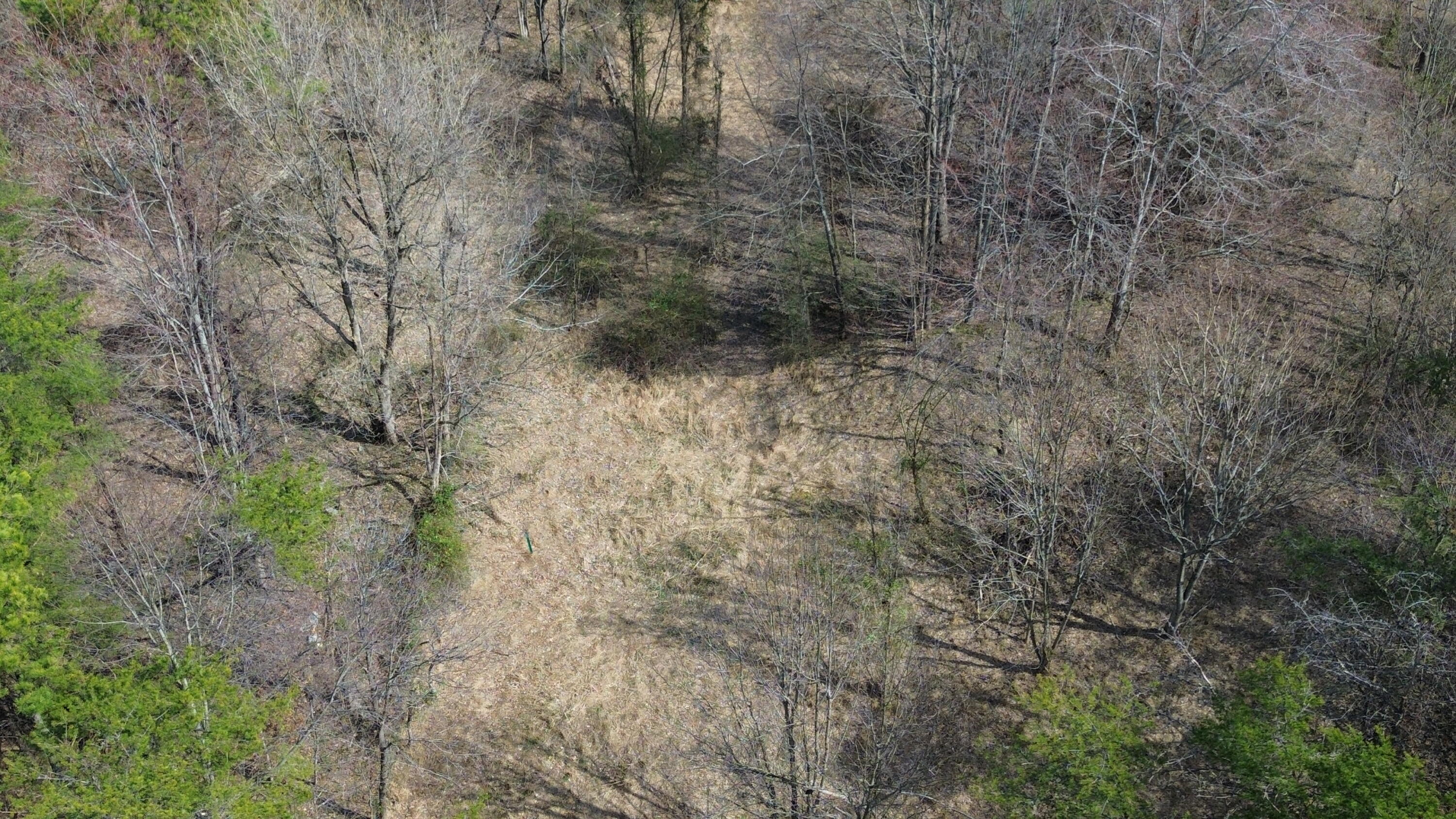 9999 3041 (corbin Bypass) Highway Property Photo 22