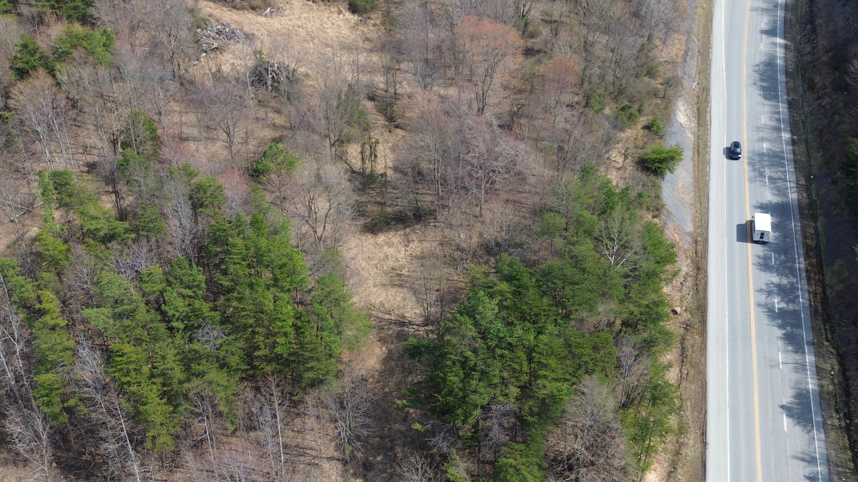 9999 3041 (corbin Bypass) Highway Property Photo 23