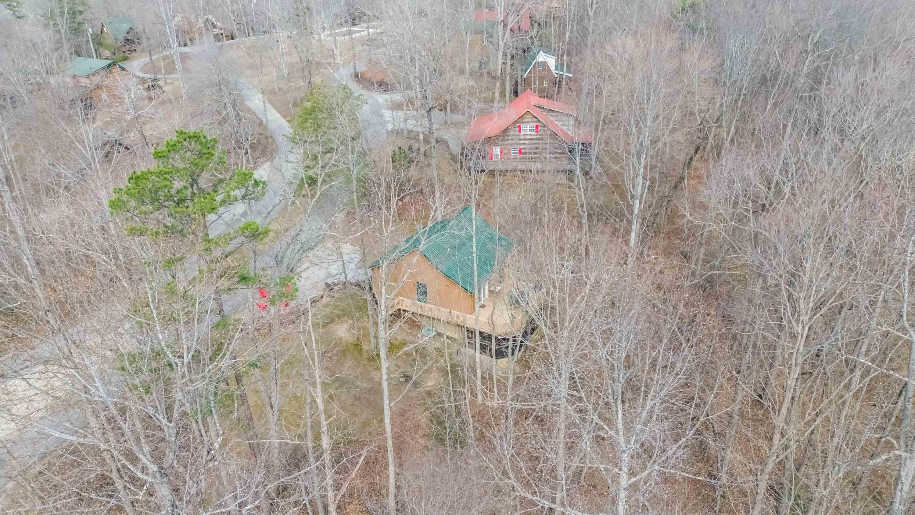 214 Enchanted Forest Way Property Photo 51