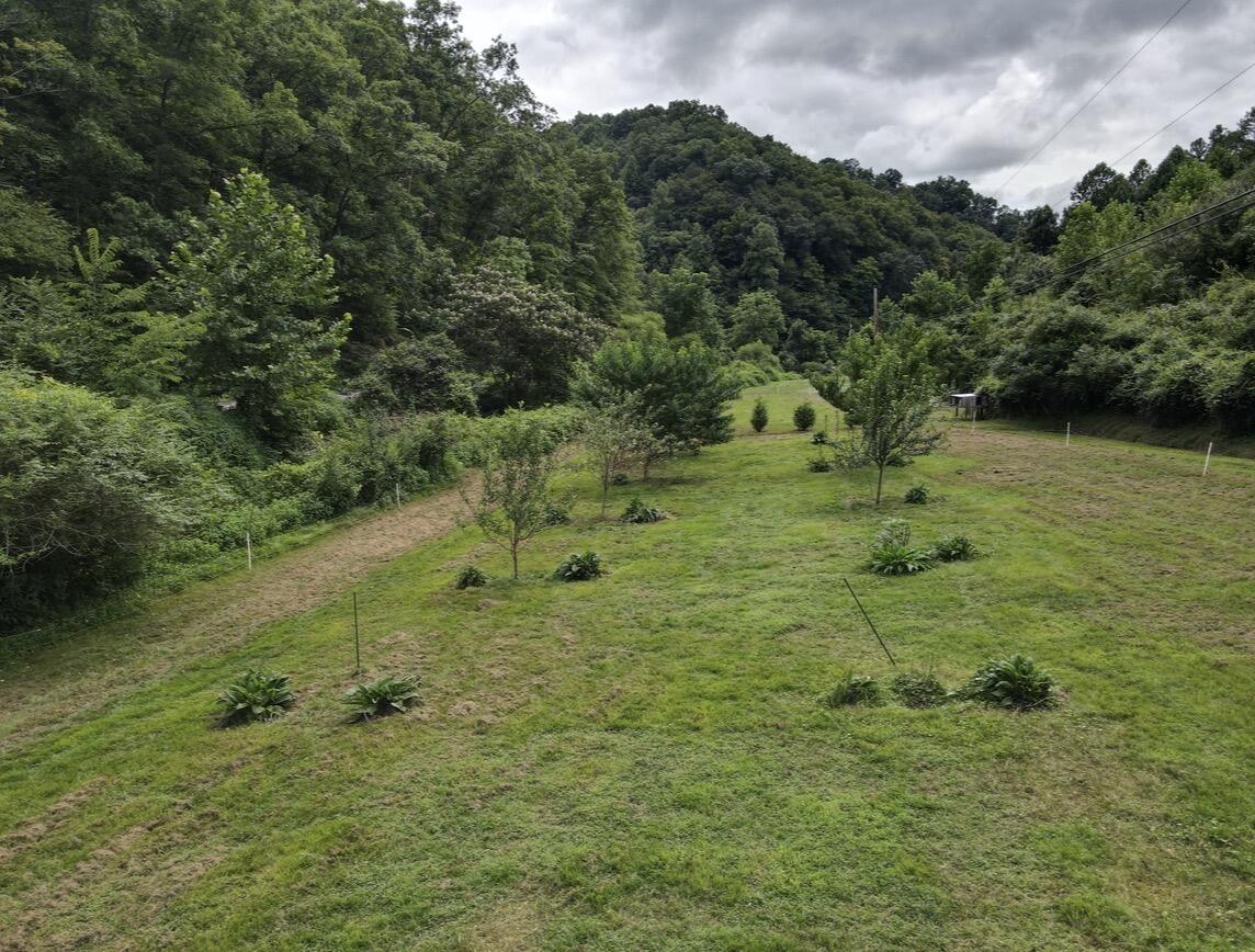1267 Lower Taulbee Fork Road Property Photo 13