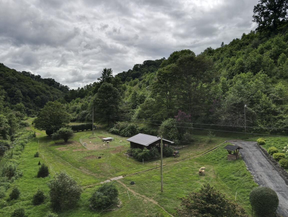 1267 Lower Taulbee Fork Road Property Photo 20