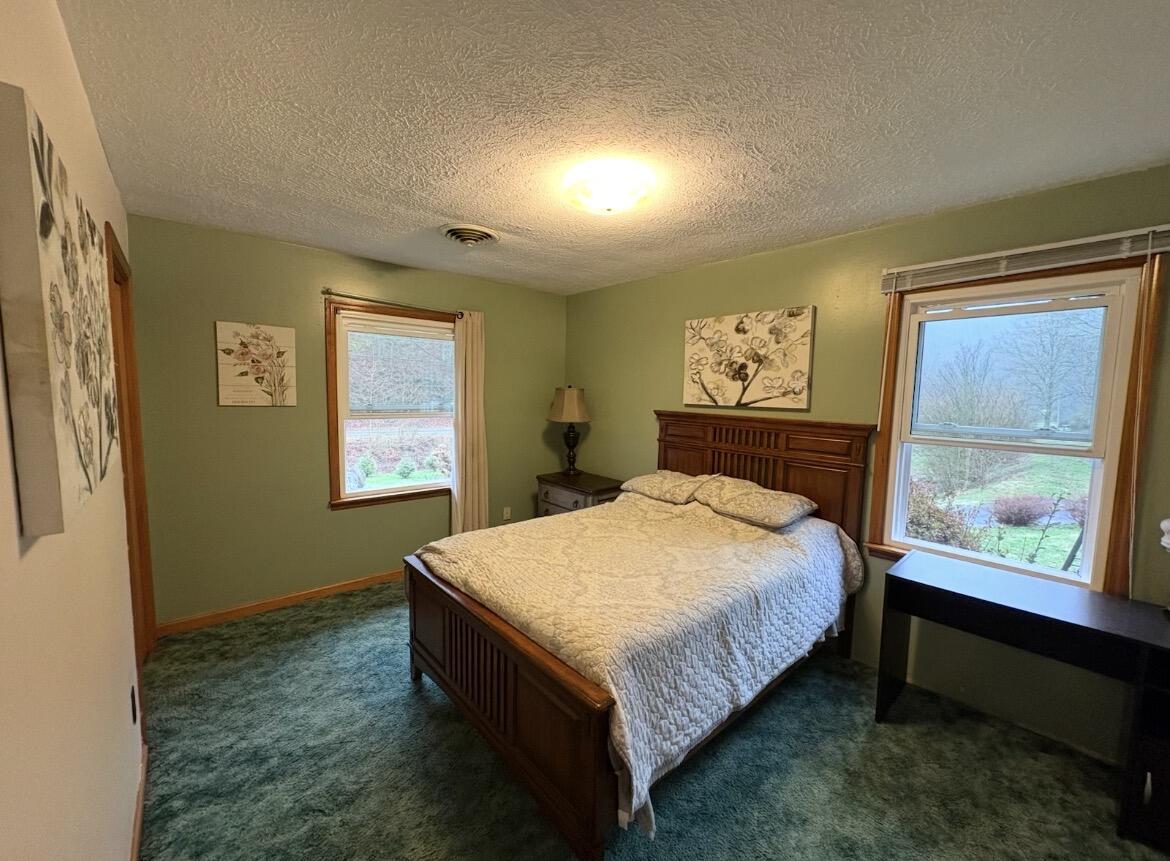1267 Lower Taulbee Fork Road Property Photo 43