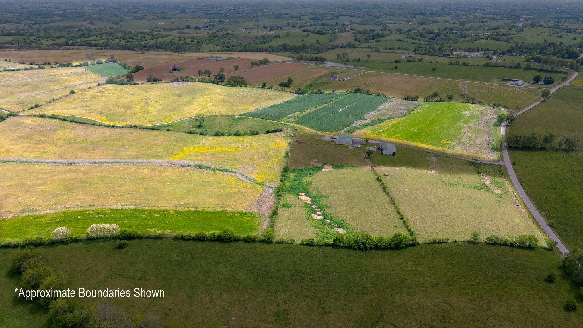 2262 Cane Ridge Road Property Photo 6