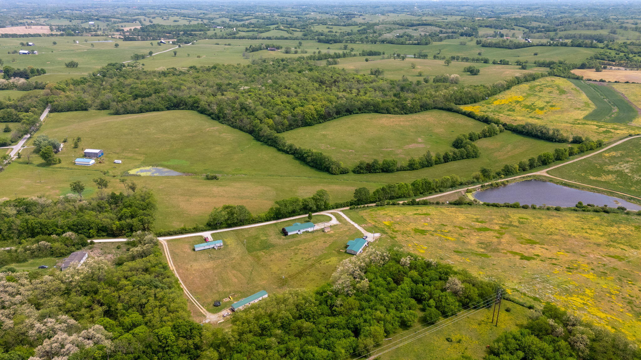 2262 Cane Ridge Road Property Photo 10