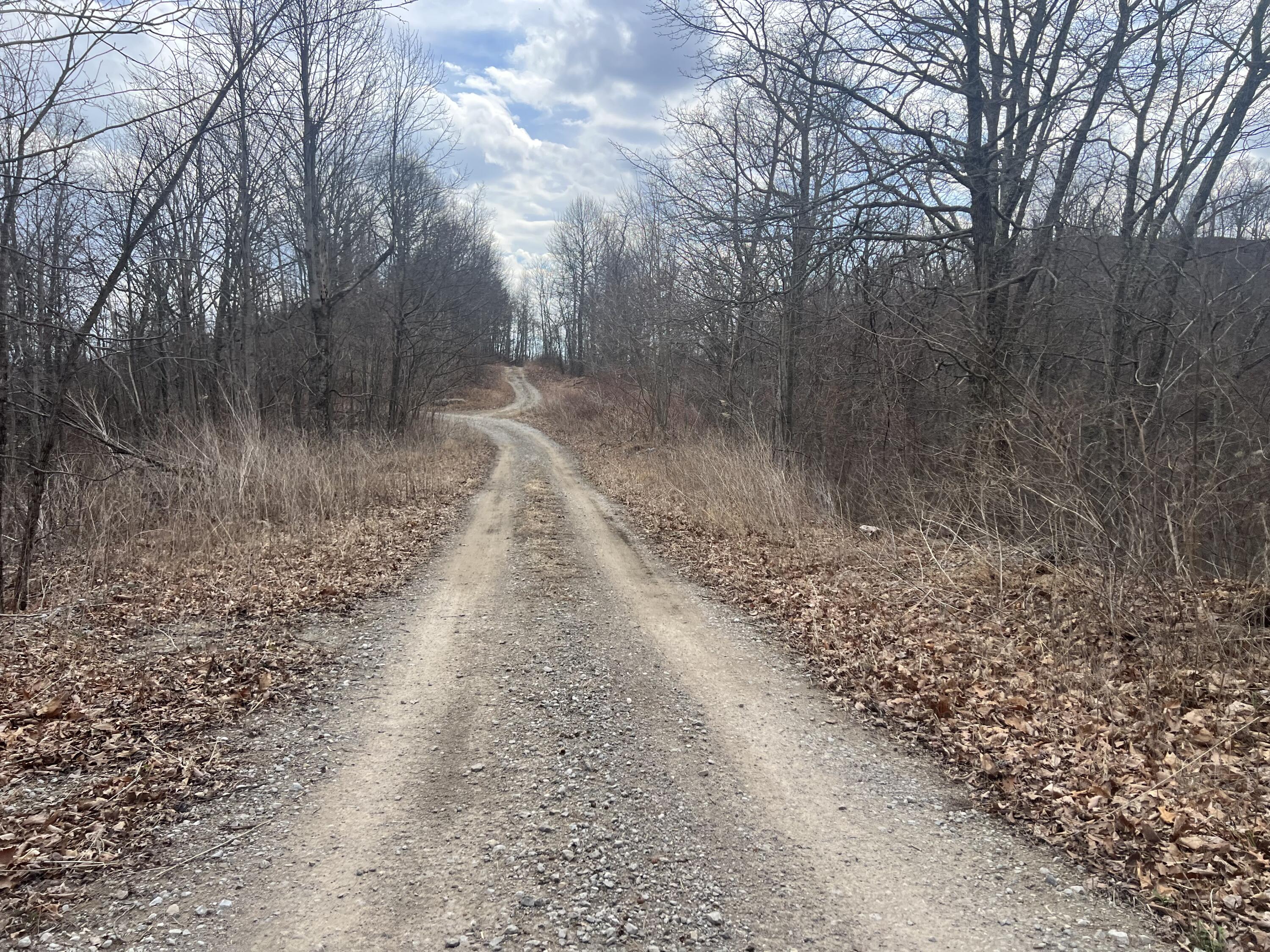1470 Hopkins Fork Property Photo 3