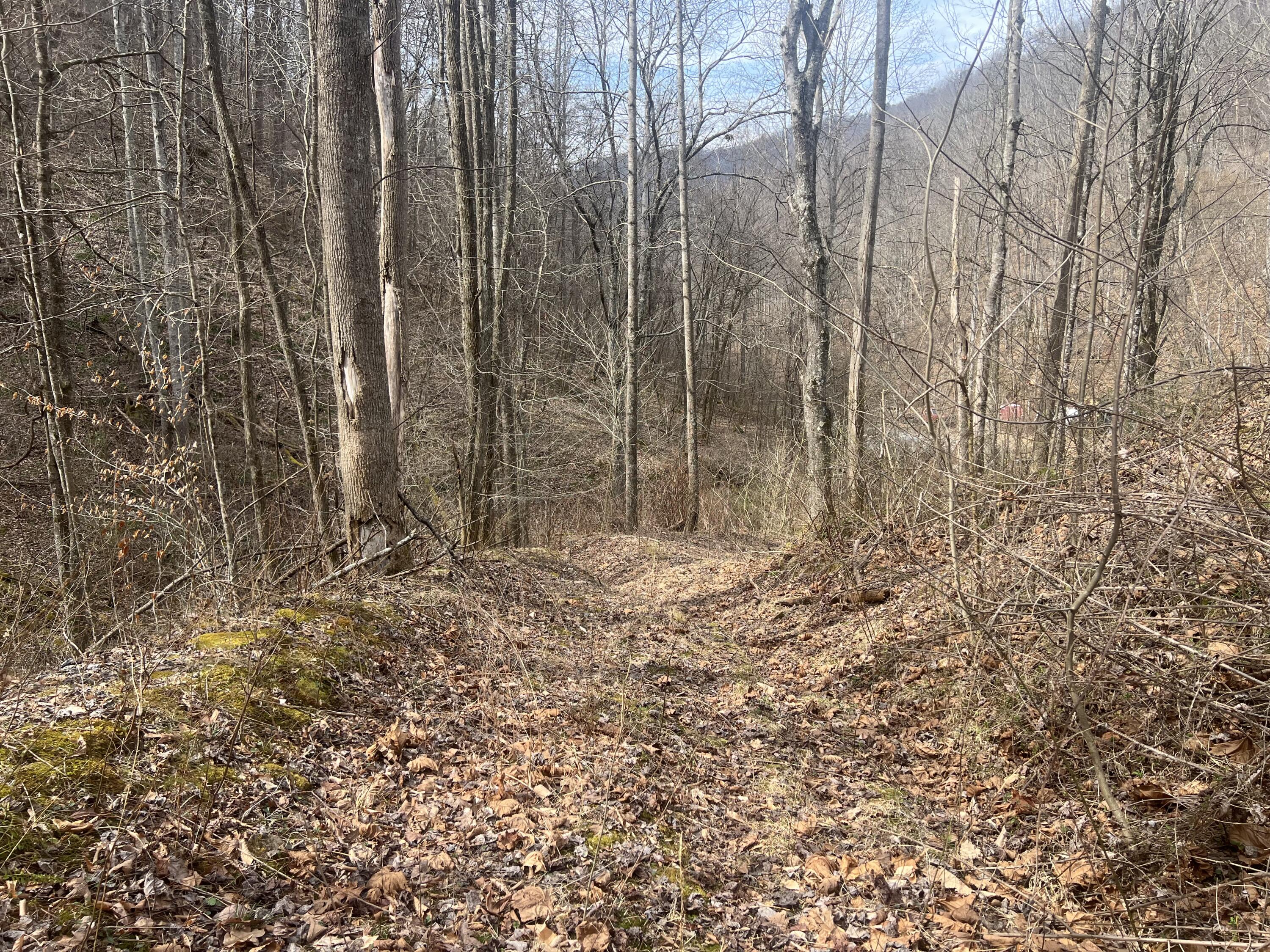 1470 Hopkins Fork Property Photo 7