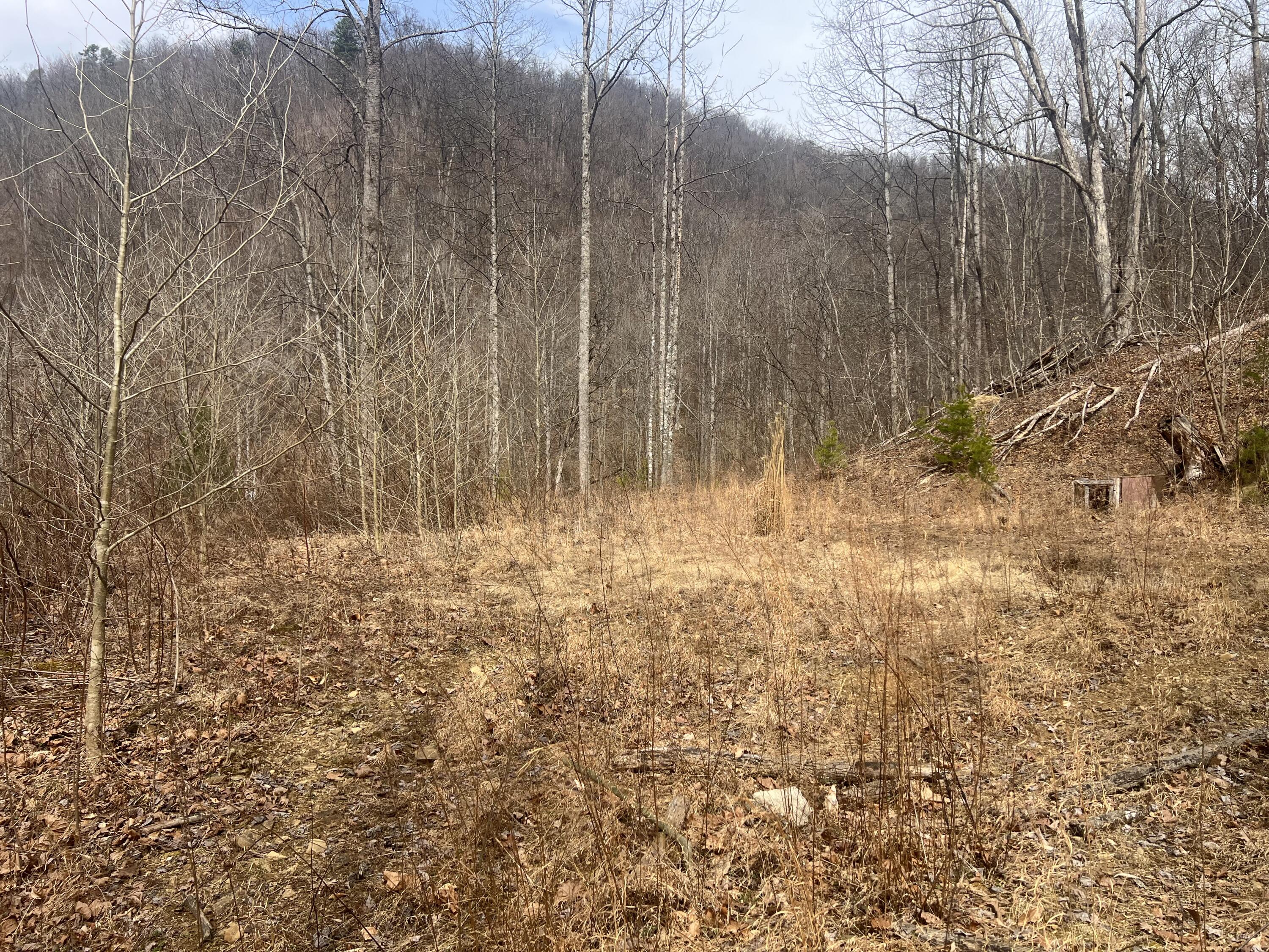 1470 Hopkins Fork Property Photo 8