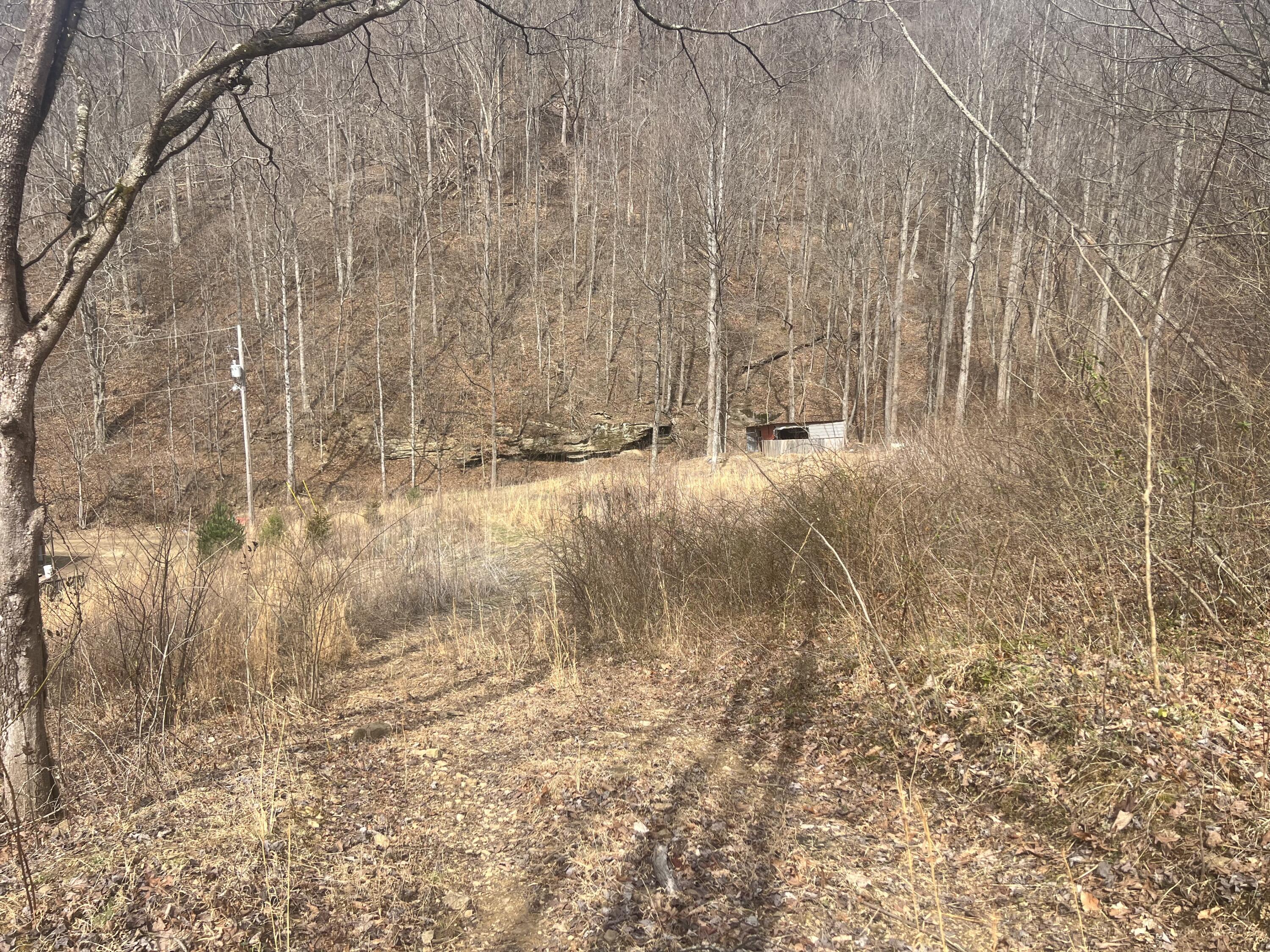 1470 Hopkins Fork Property Photo 9