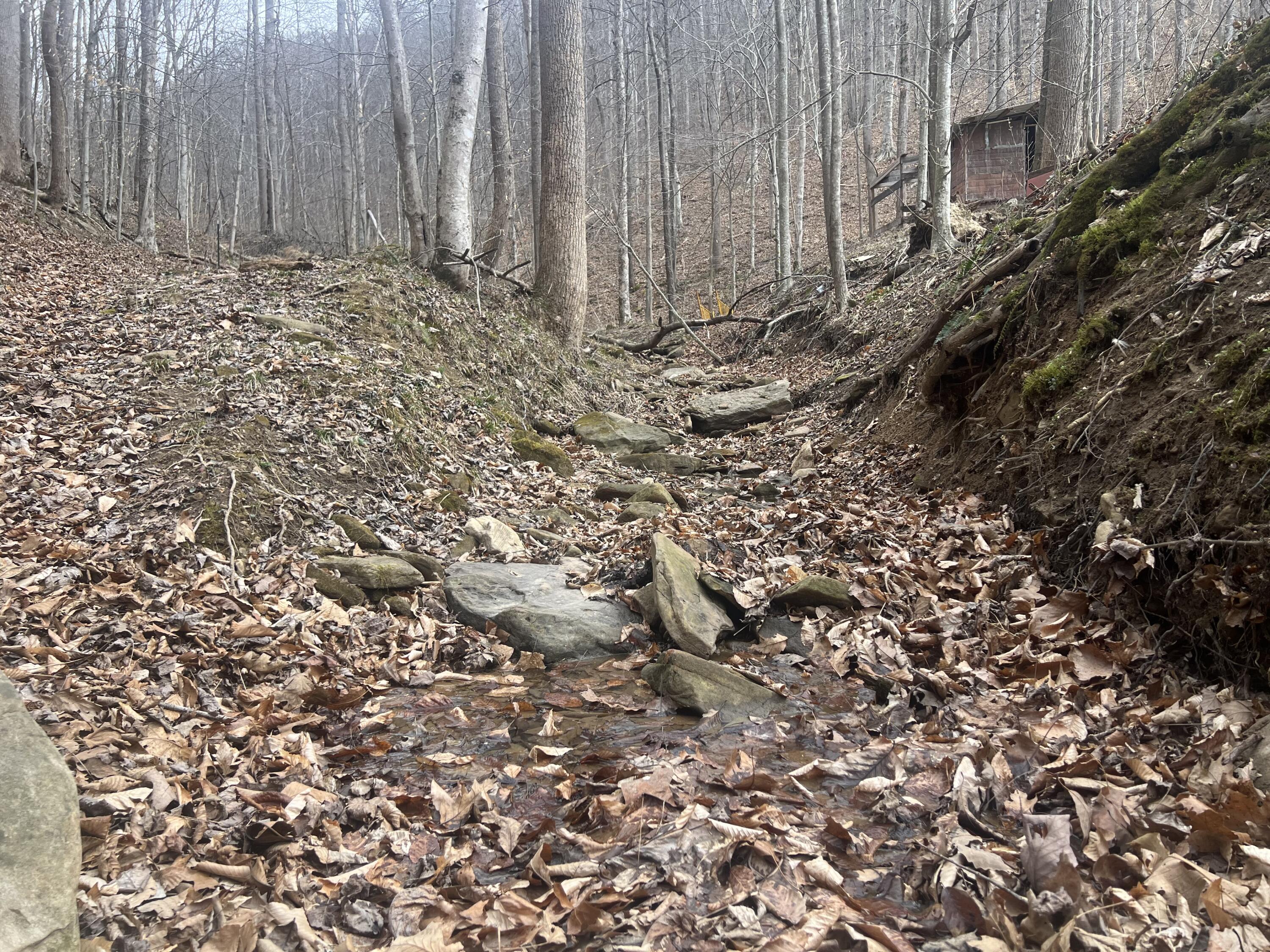 1470 Hopkins Fork Property Photo 14
