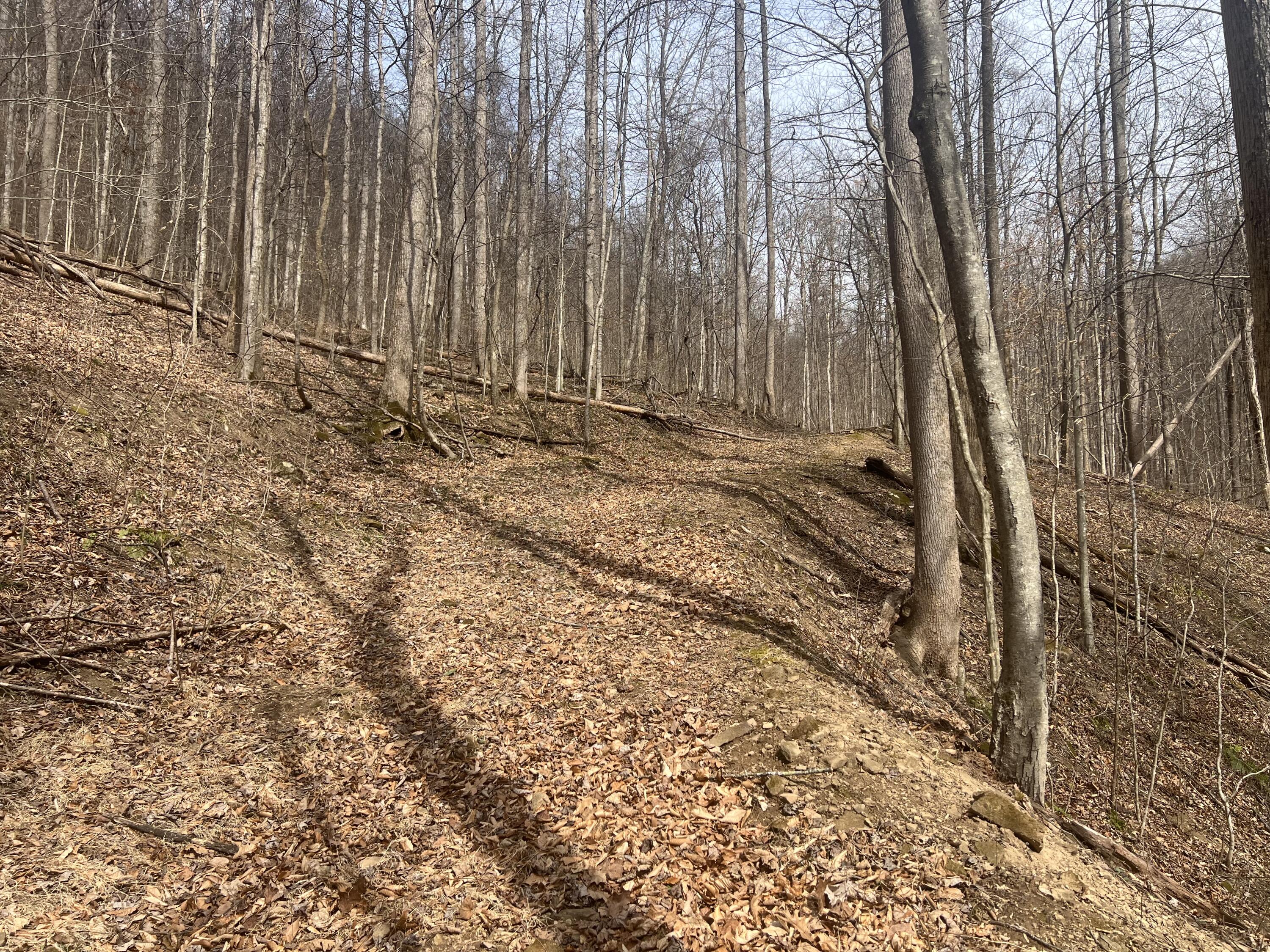 1470 Hopkins Fork Property Photo 15