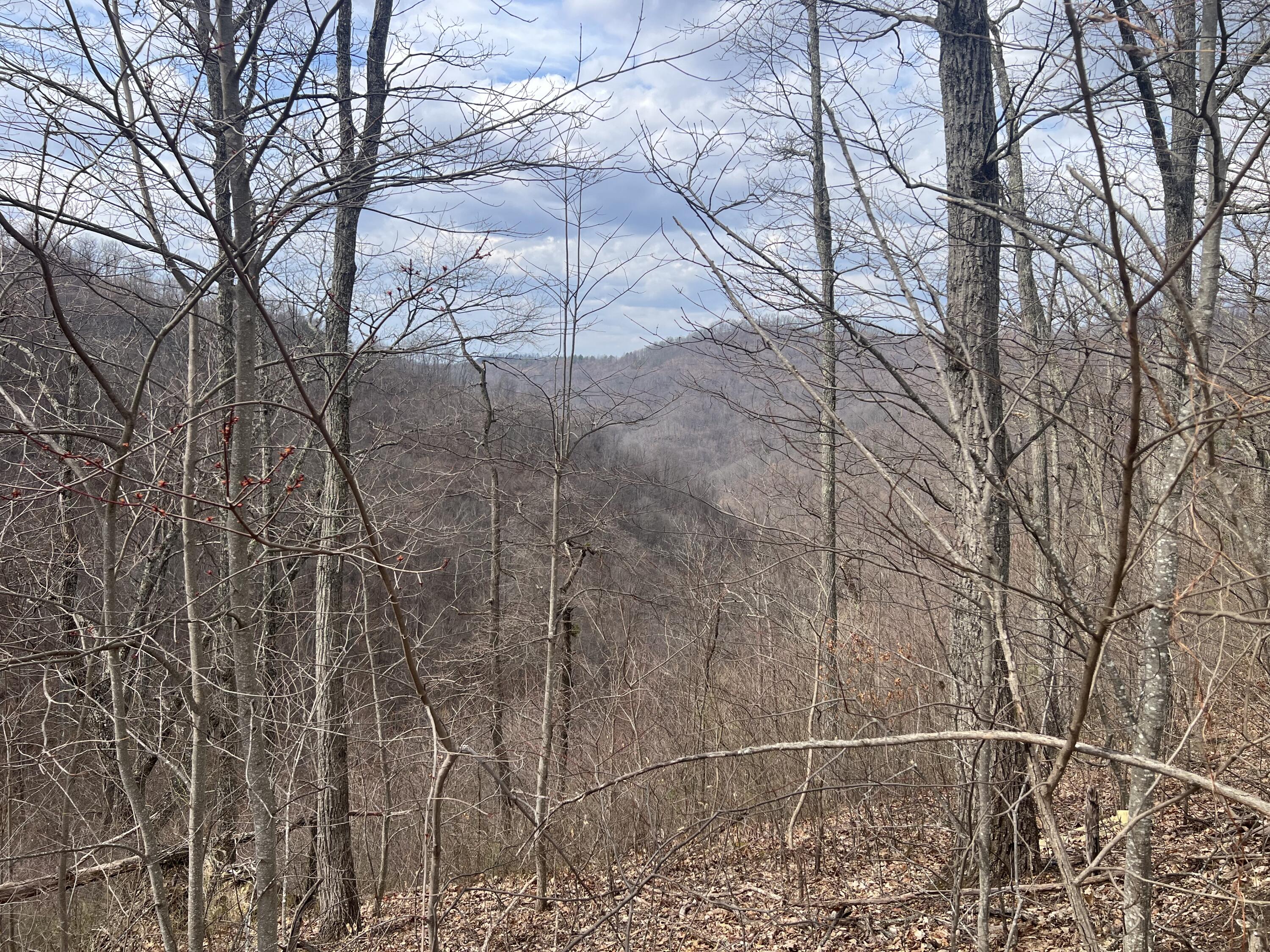 1470 Hopkins Fork Property Photo 16