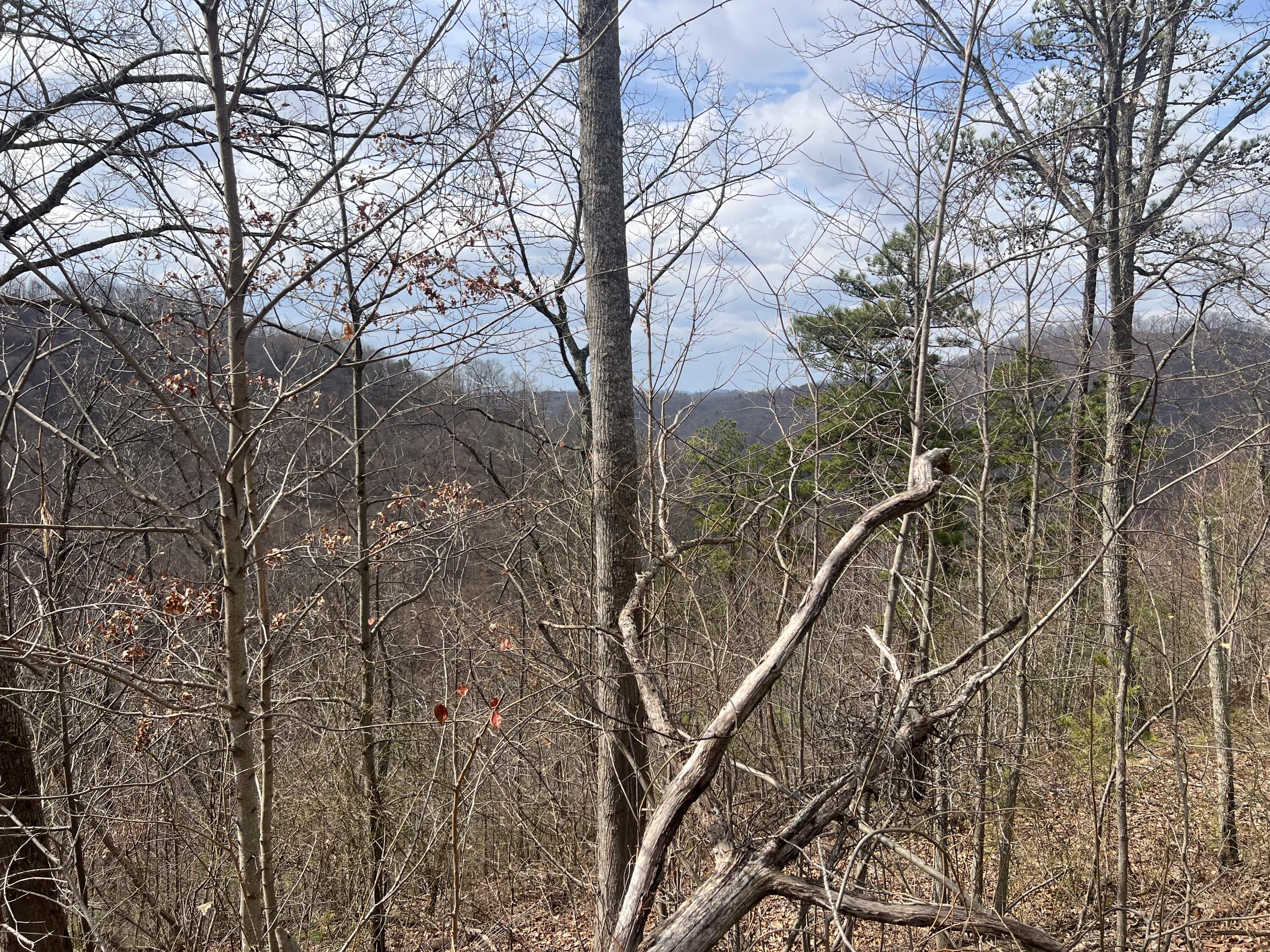 1470 Hopkins Fork Property Photo 17