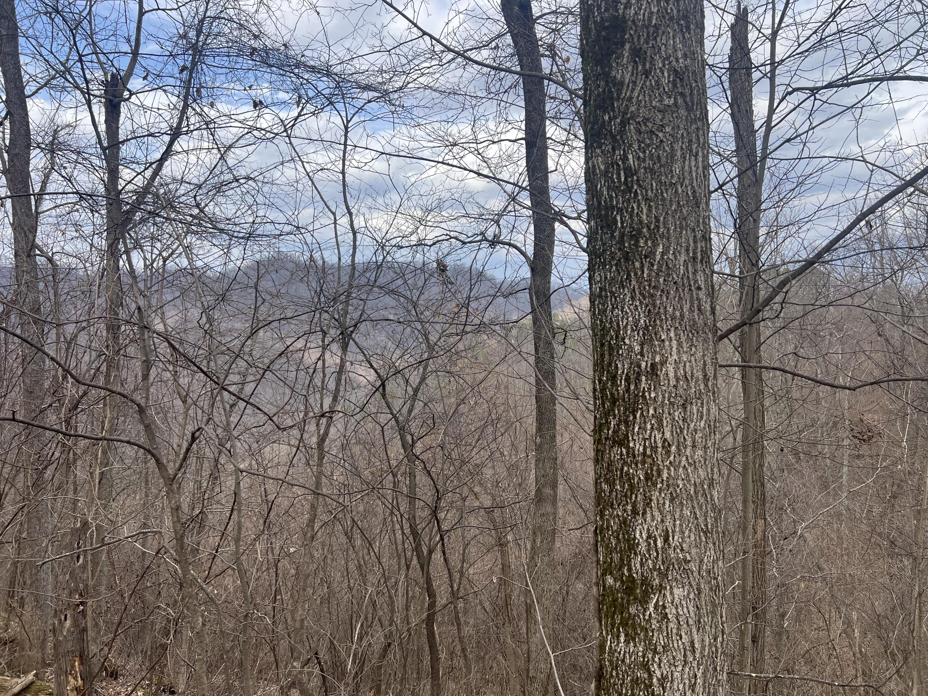 1470 Hopkins Fork Property Photo 18