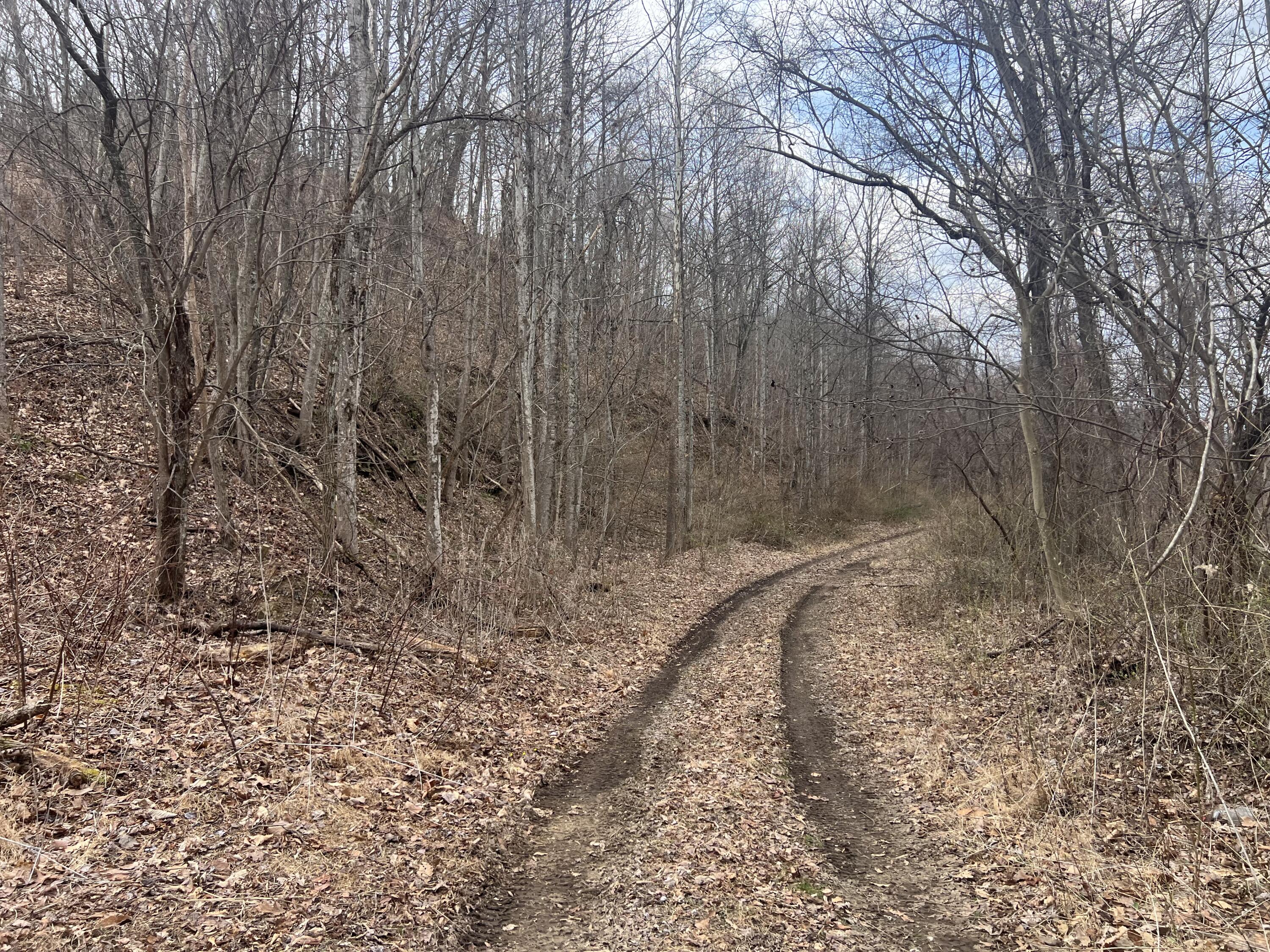 1470 Hopkins Fork Property Photo 19