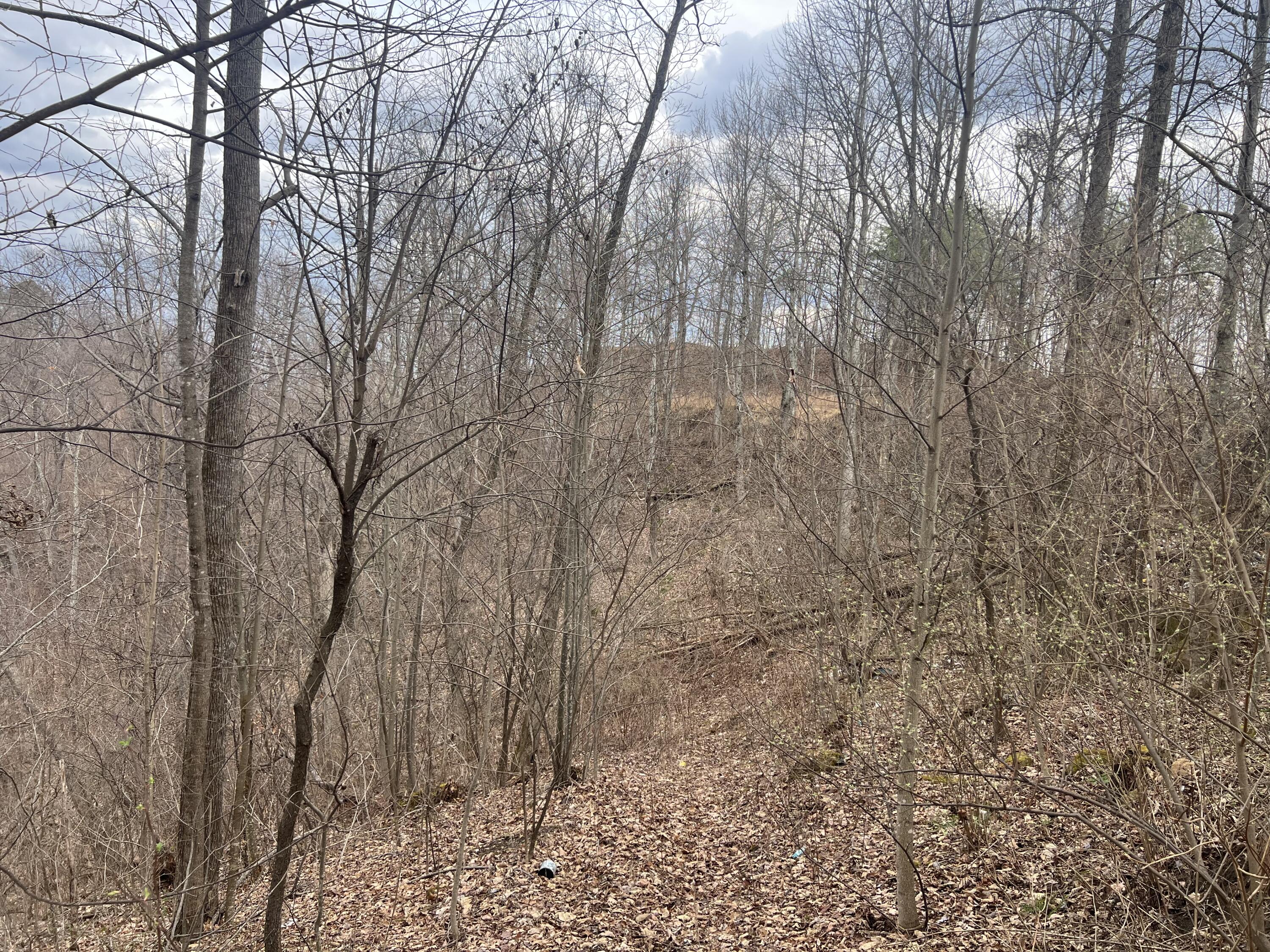 1470 Hopkins Fork Property Photo 20