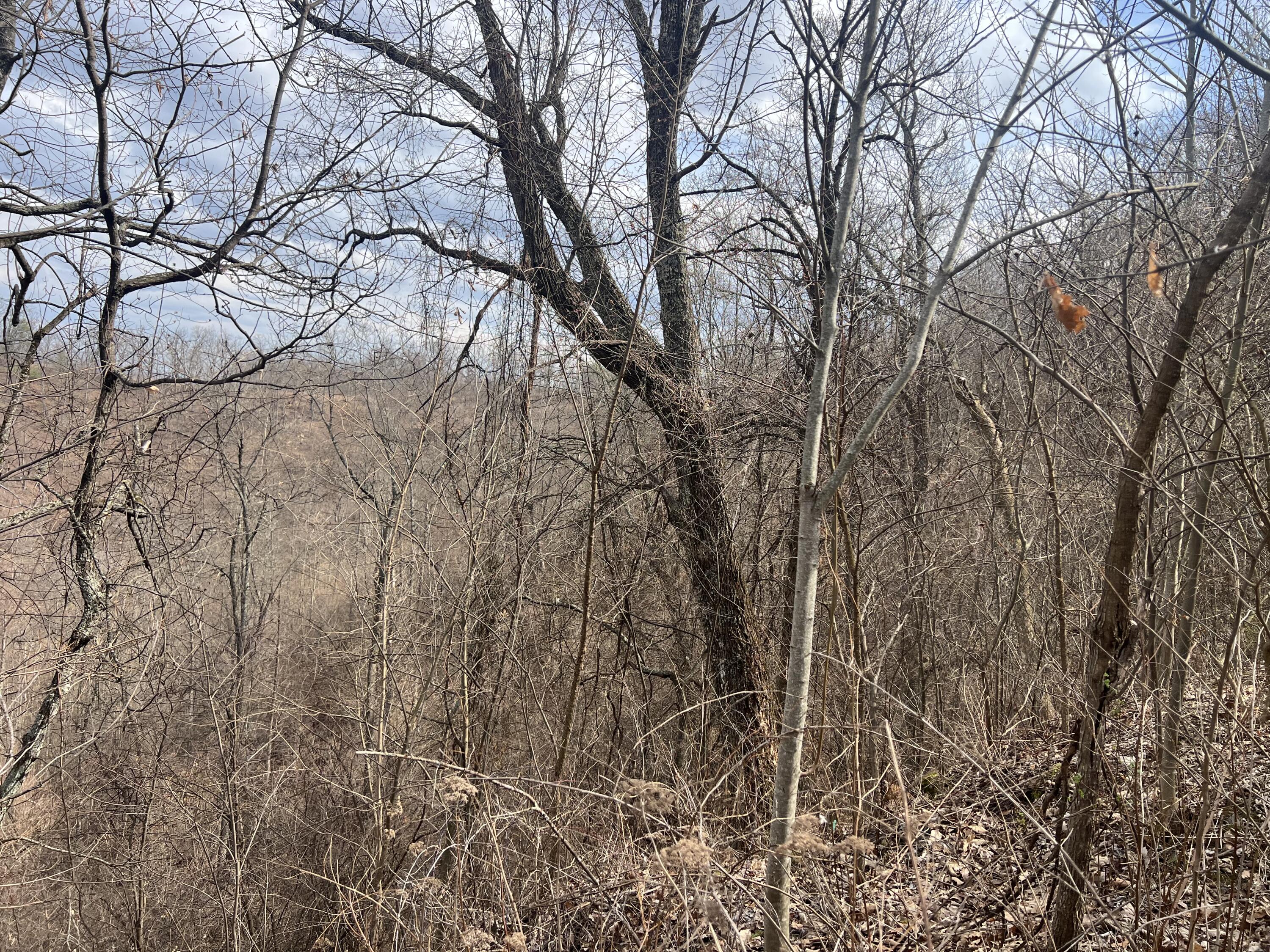 1470 Hopkins Fork Property Photo 23
