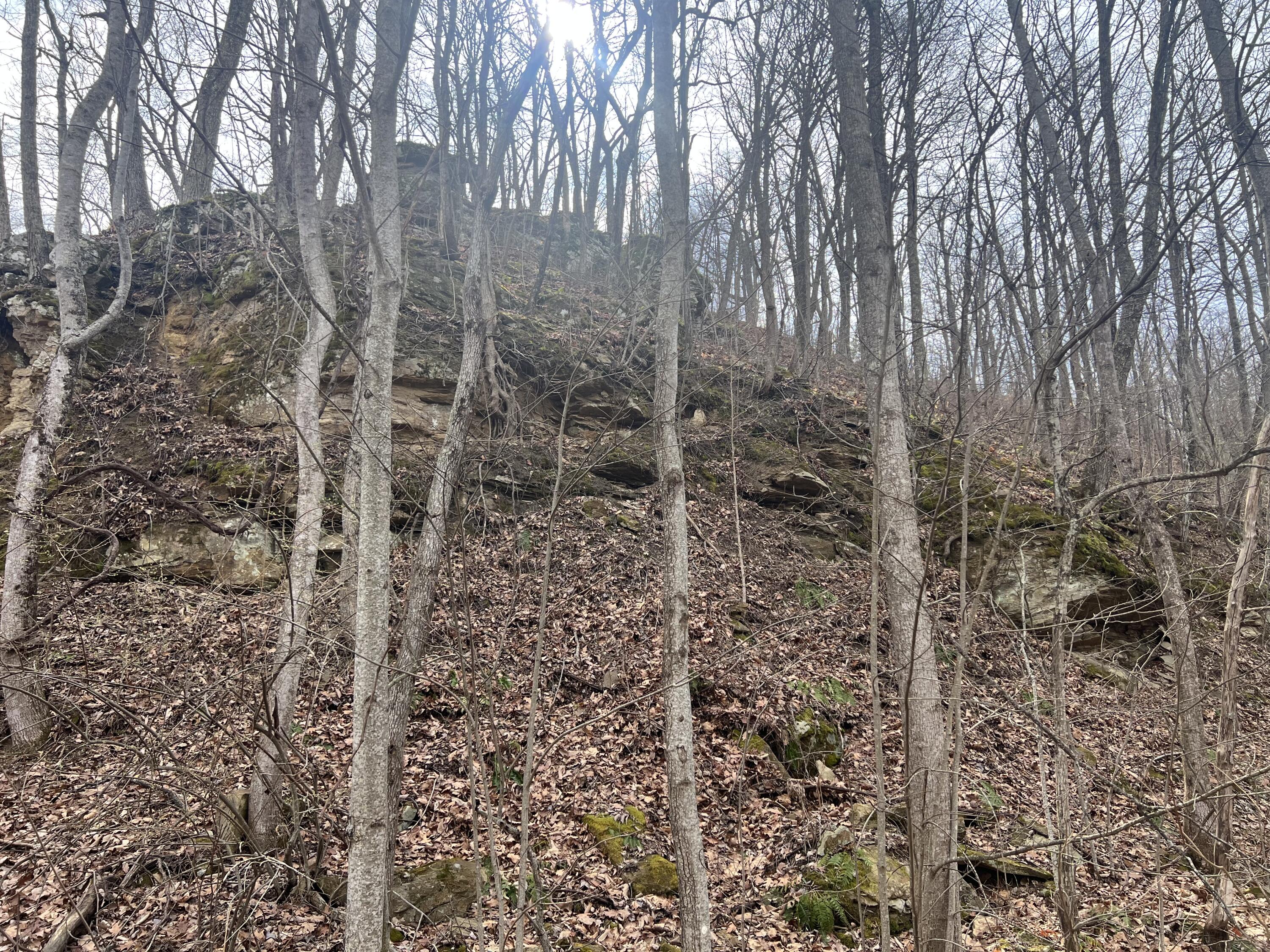 1470 Hopkins Fork Property Photo 25