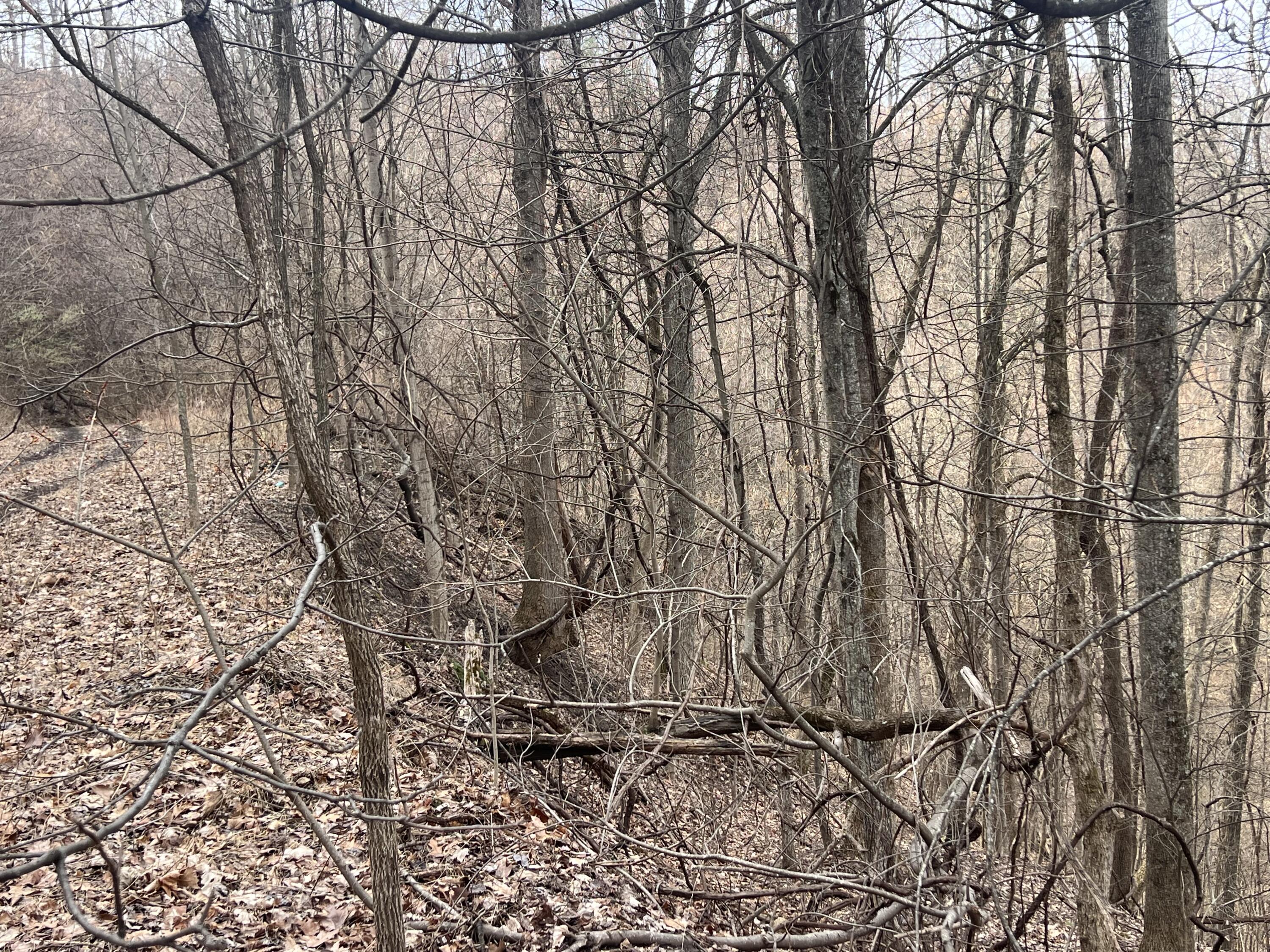 1470 Hopkins Fork Property Photo 27