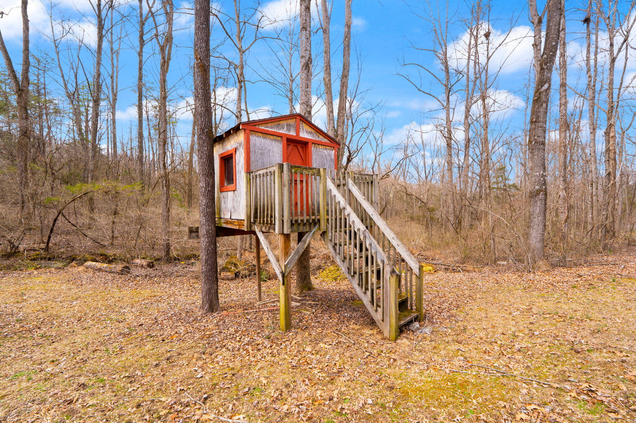 491 Pumphouse Road Property Photo 183