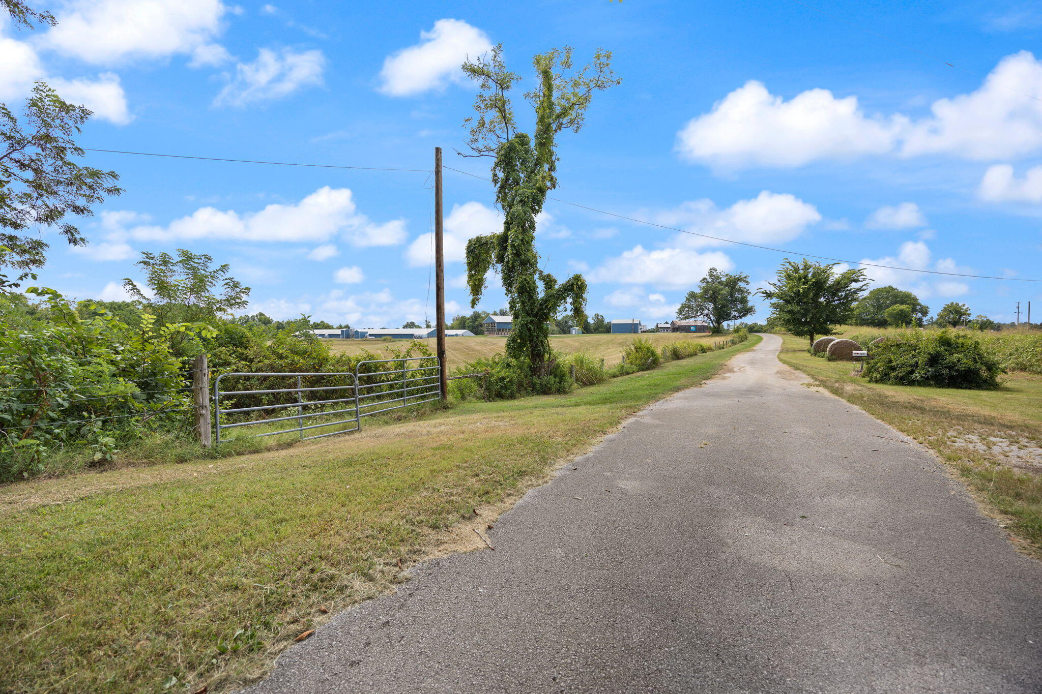1412 George Garner Road Property Photo 5