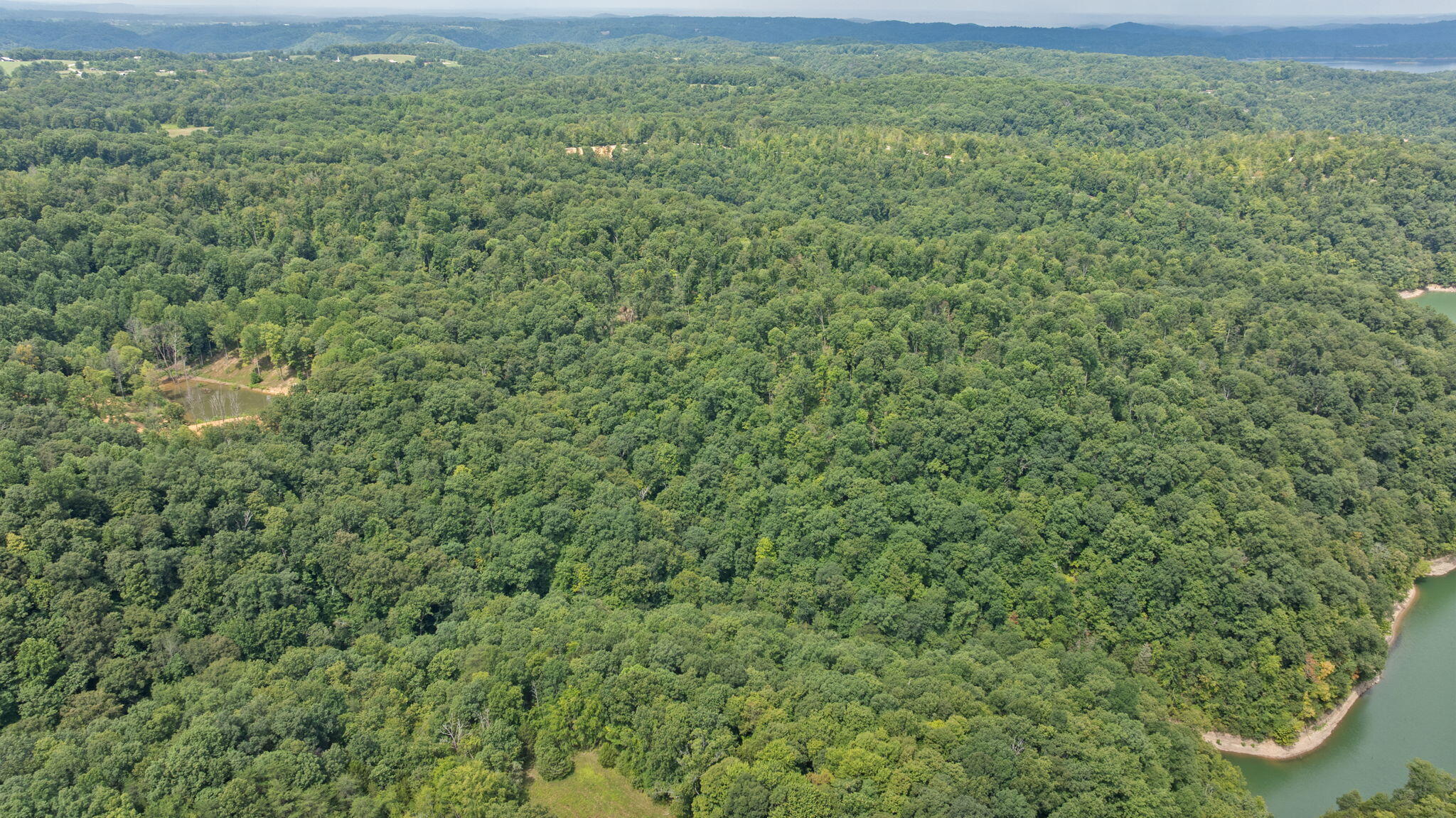 1412 George Garner Road Property Photo 28